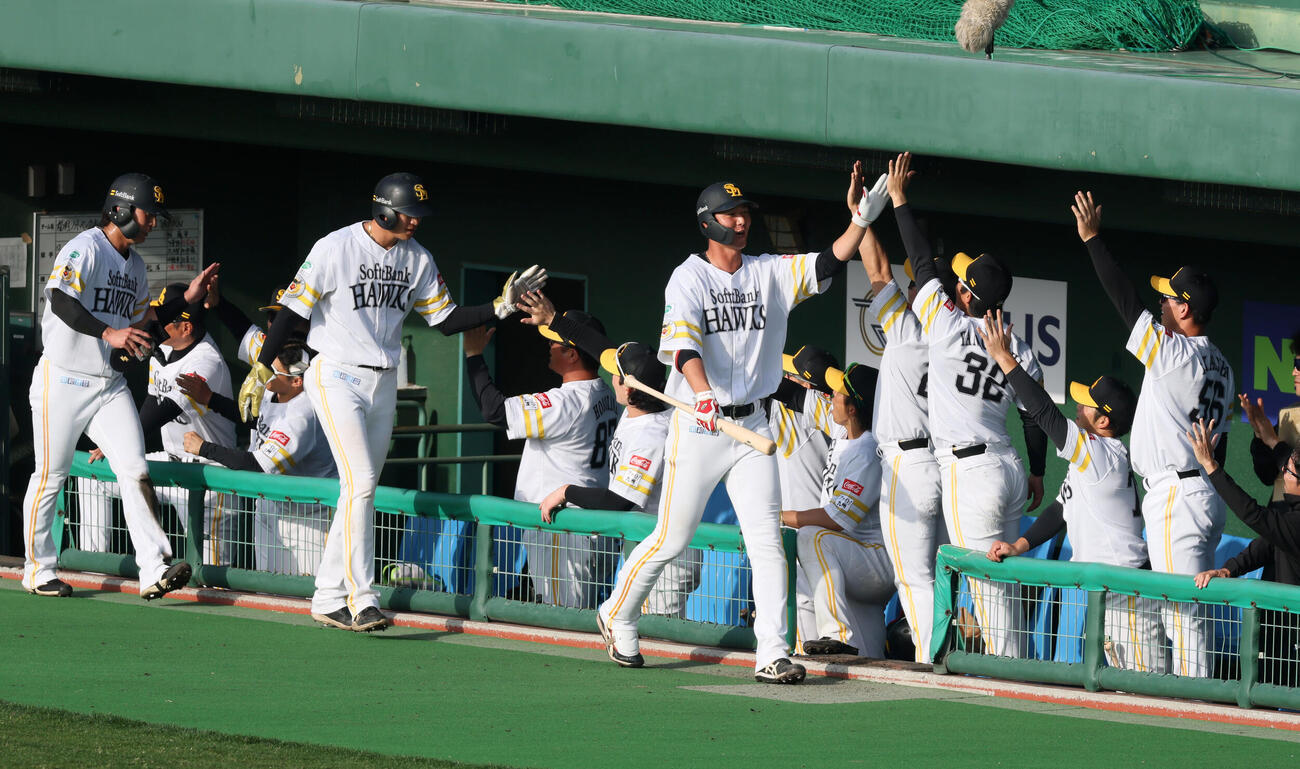 日本対ソフトバンク　8回裏ソフトバンク2死一、二塁、秋広は右越え3点本塁打を放ちベンチのナインとタッチする（撮影・加藤哉）