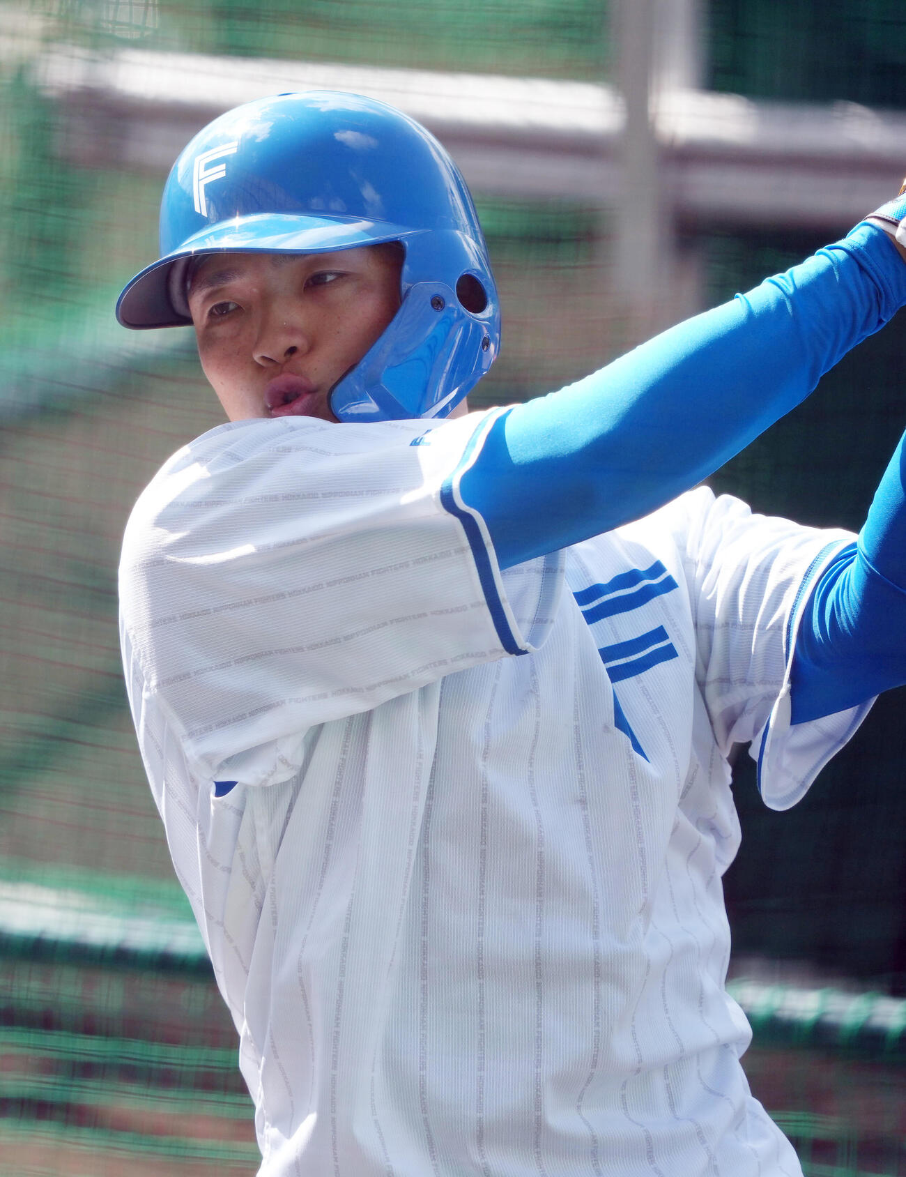 打撃練習に臨む日本ハム郡司（撮影・足立雅史）