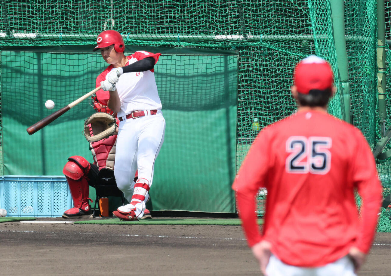 新井監督が見守る中、打撃練習する広島佐々木（撮影・加藤孝規）