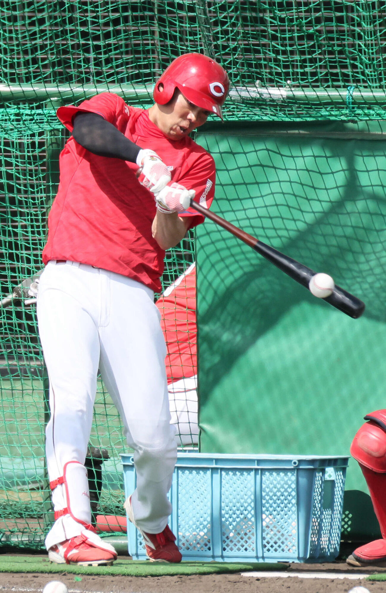 打撃練習する広島秋山（撮影・加藤孝規）