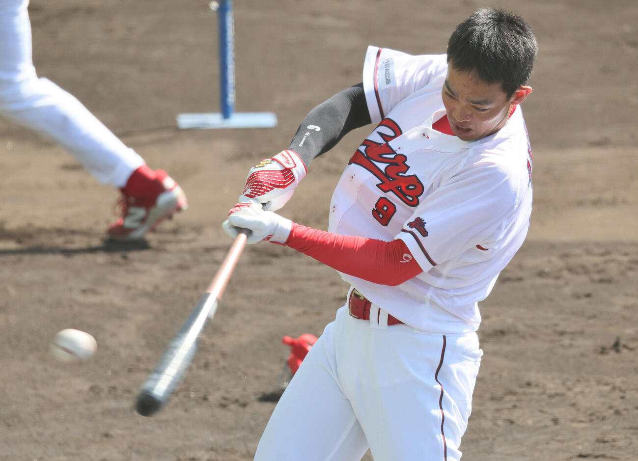ティー打撃練習をする広島秋山（撮影・加藤孝規）