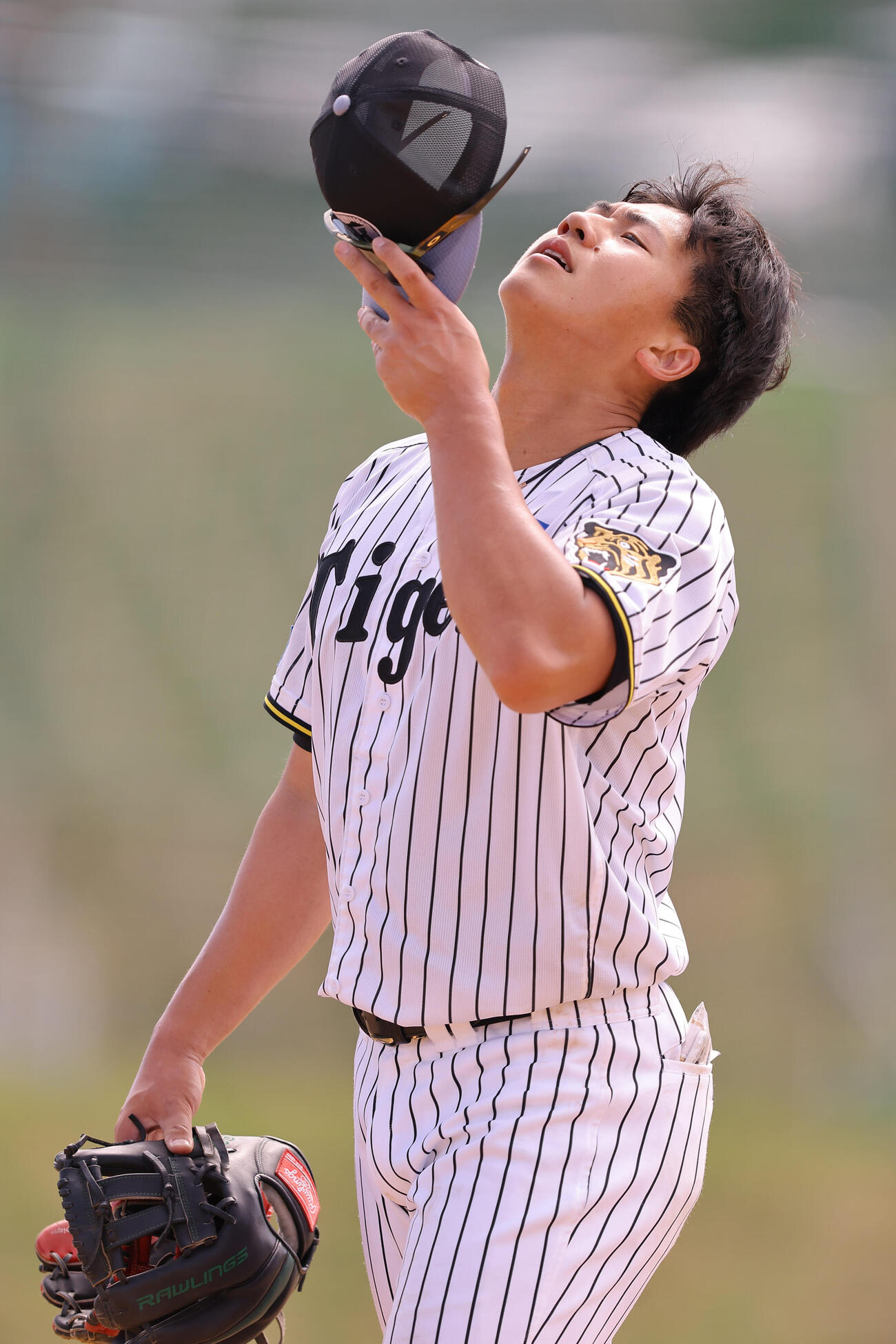 ノックを受けた阪神立石はグラウンドを引き揚げる（撮影・上田博志）