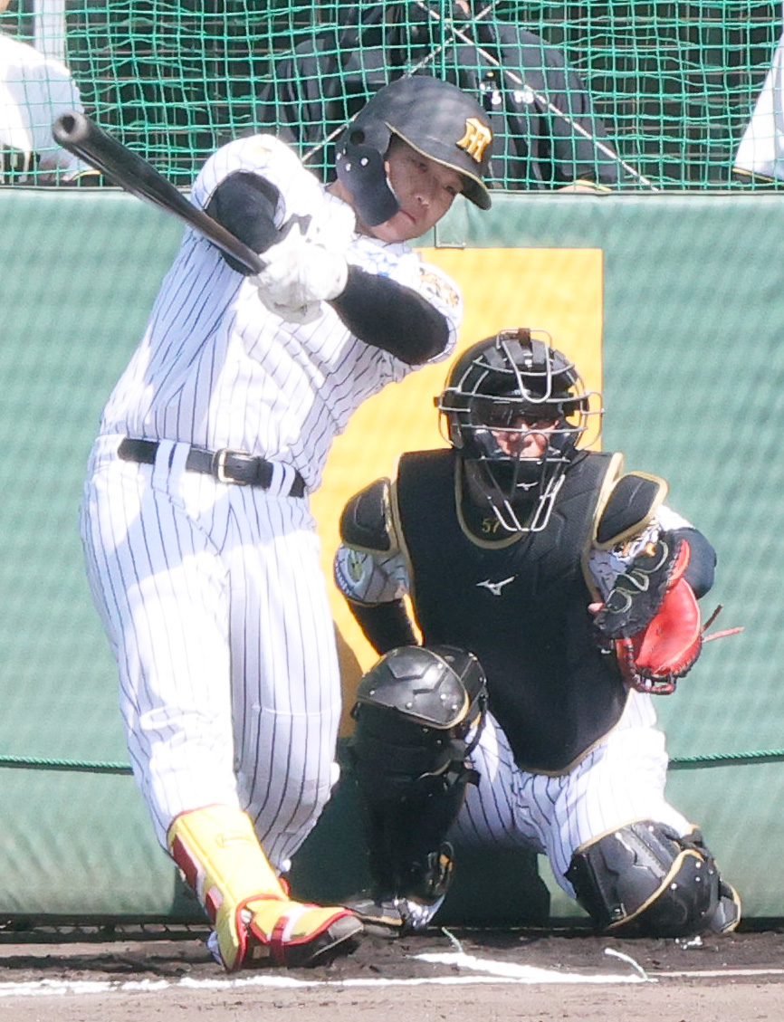 ライブBPで打撃する阪神嶋村（撮影・上山淳一）