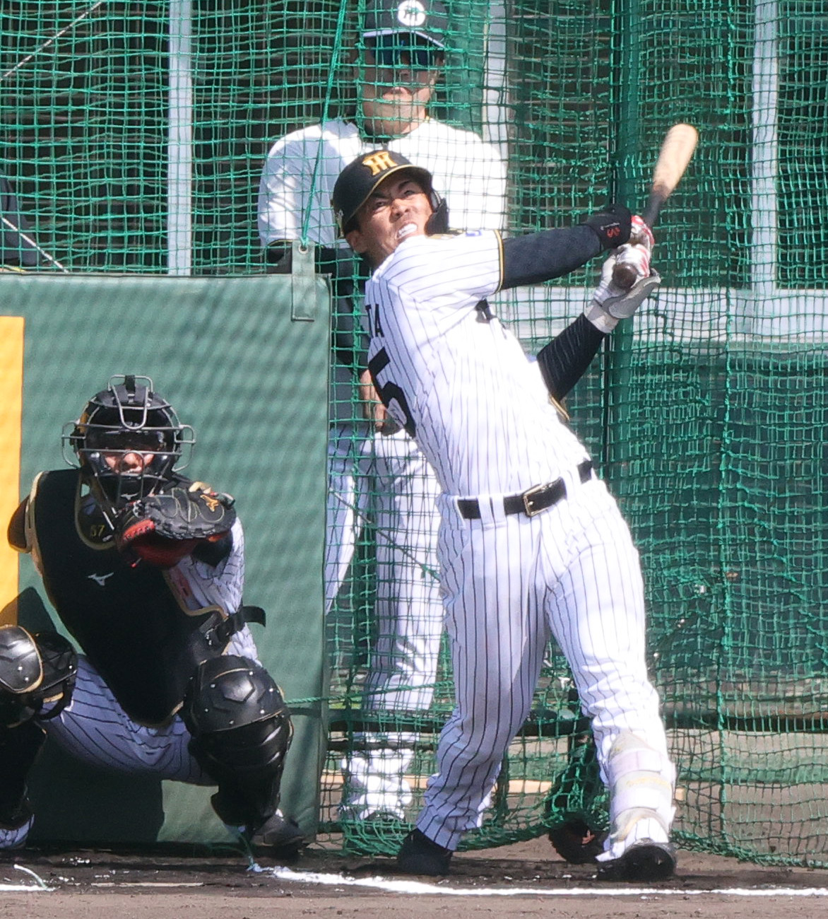 ライブBPで打撃する阪神谷端（撮影・上山淳一）