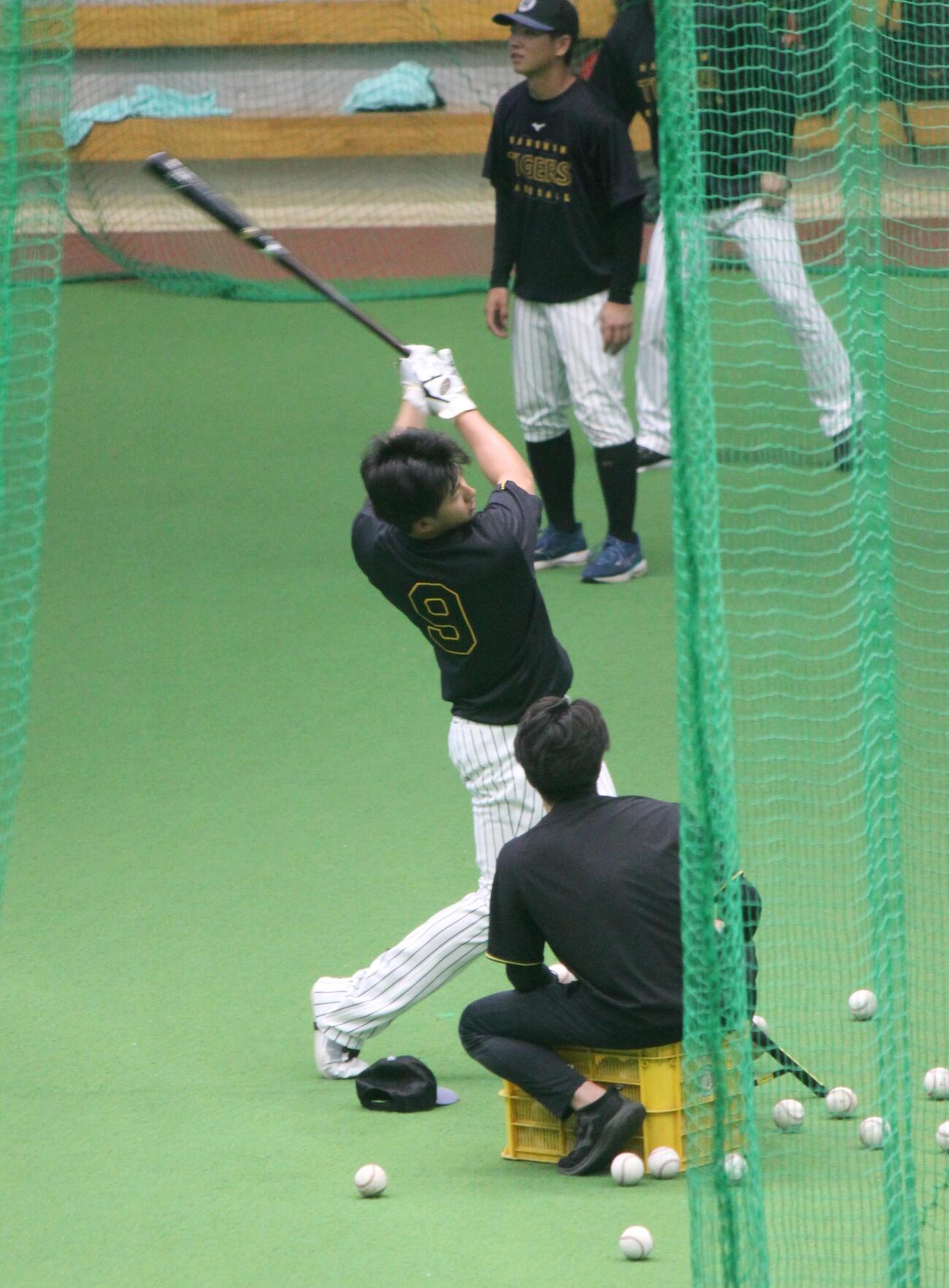 具志川キャンプ最終日にティー打撃を行う阪神立石（撮影・柏原誠）