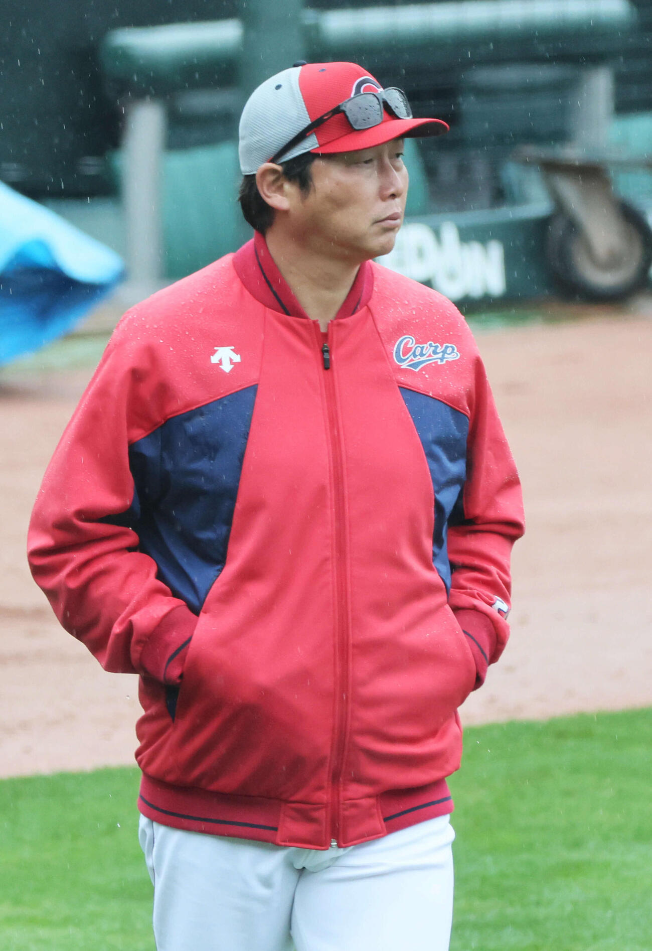 練習を見守る広島新井監督（撮影・加藤孝規）