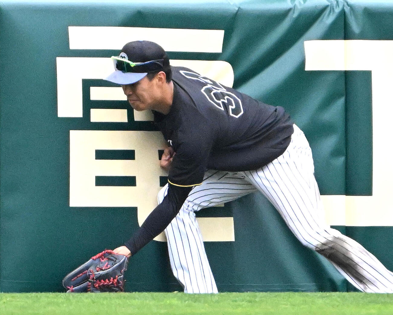フェンス際の捕球練習をする阪神岡城（撮影・石井愛子）