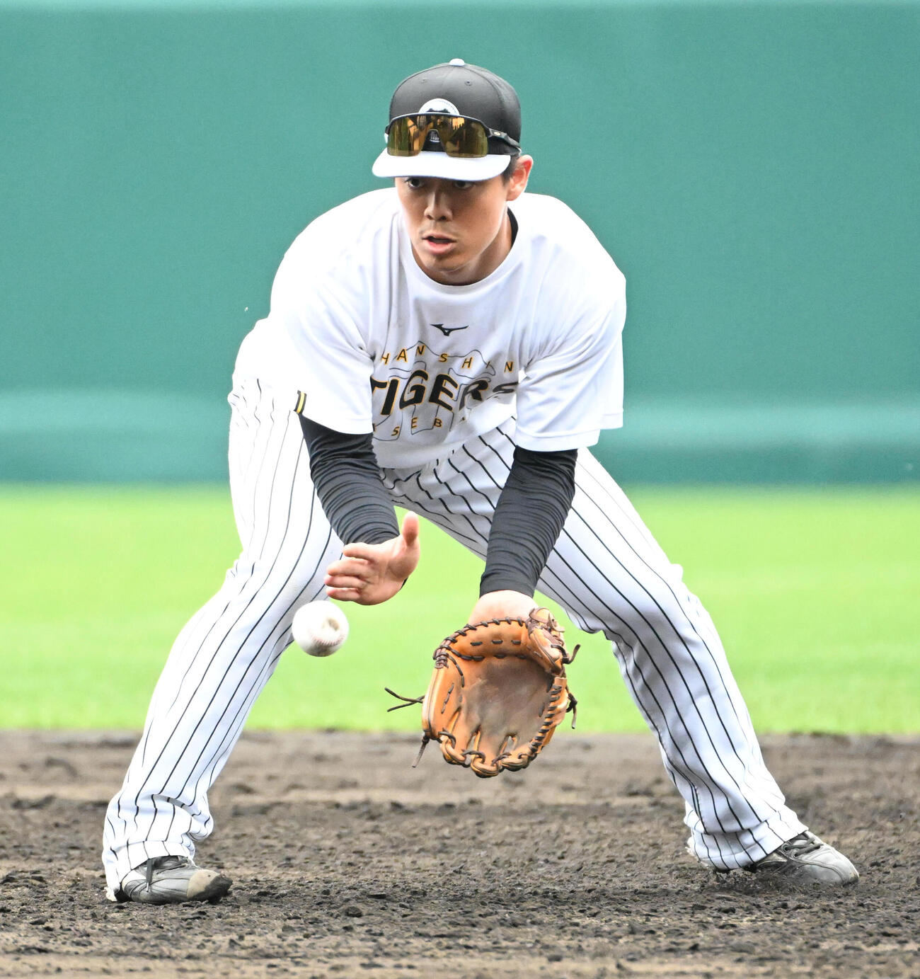 守備練習をする阪神谷端（撮影・石井愛子）