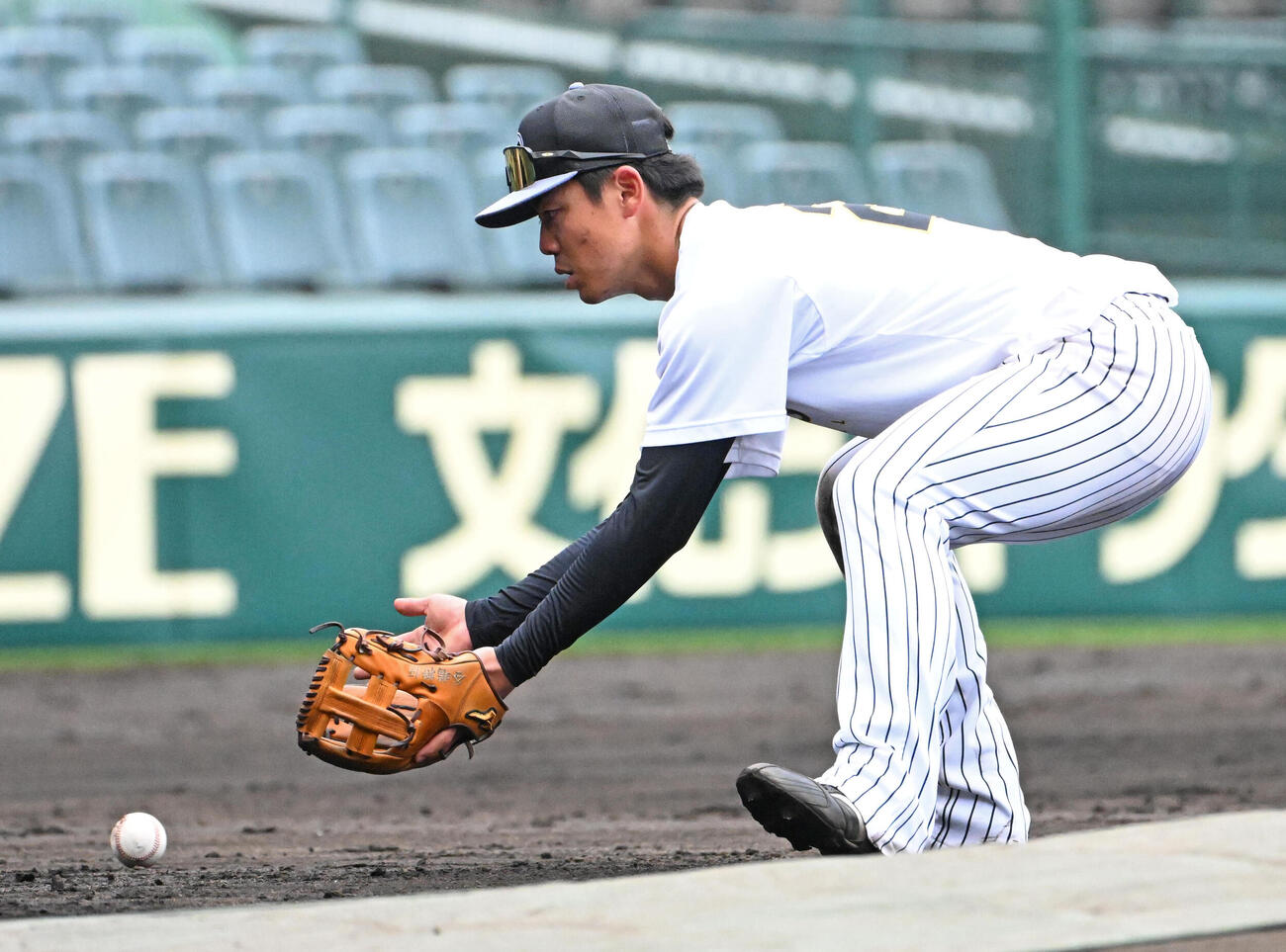 守備練習をする阪神谷端（撮影・石井愛子）