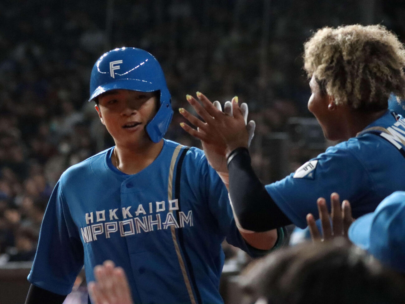 2回先頭で左越えソロを放ちハイタッチする日本ハム郡司（撮影・永野高輔）