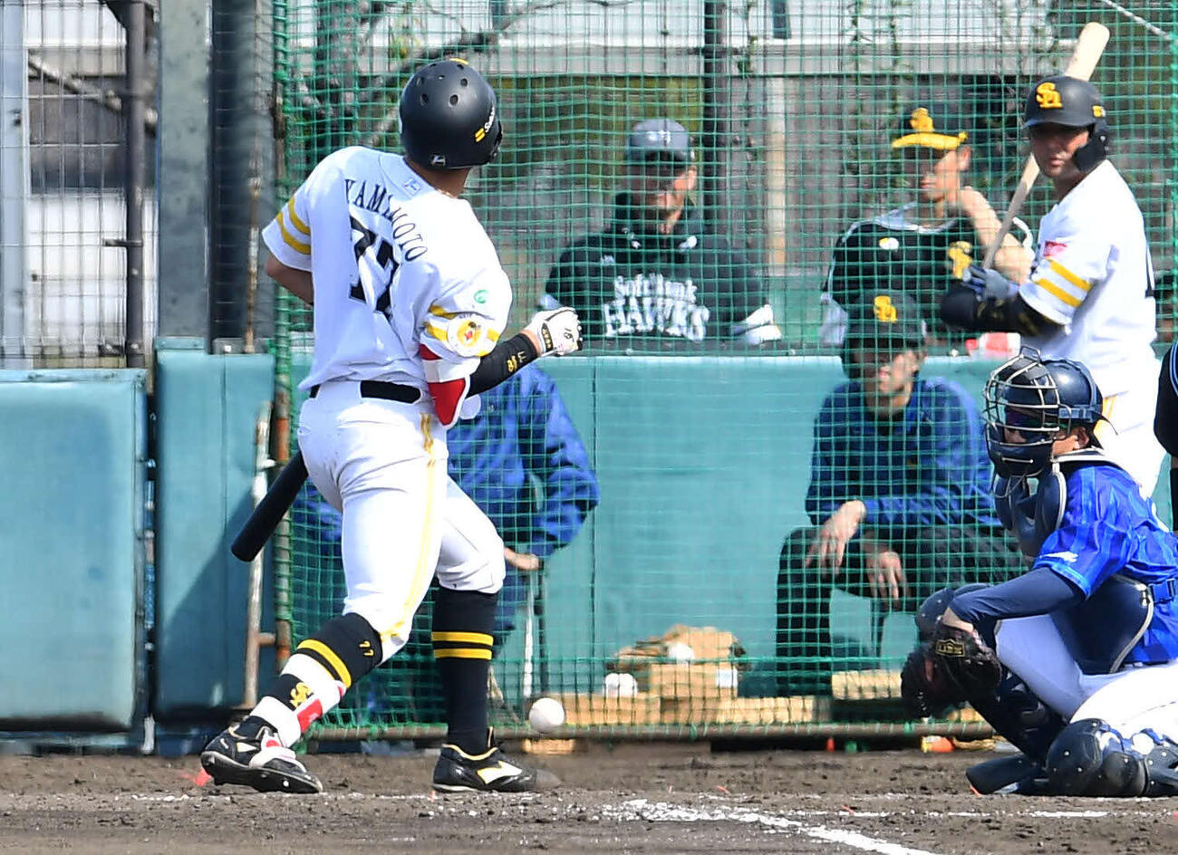 B組の練習試合で死球を受けるソフトバンク山本（撮影・岩下翔太）