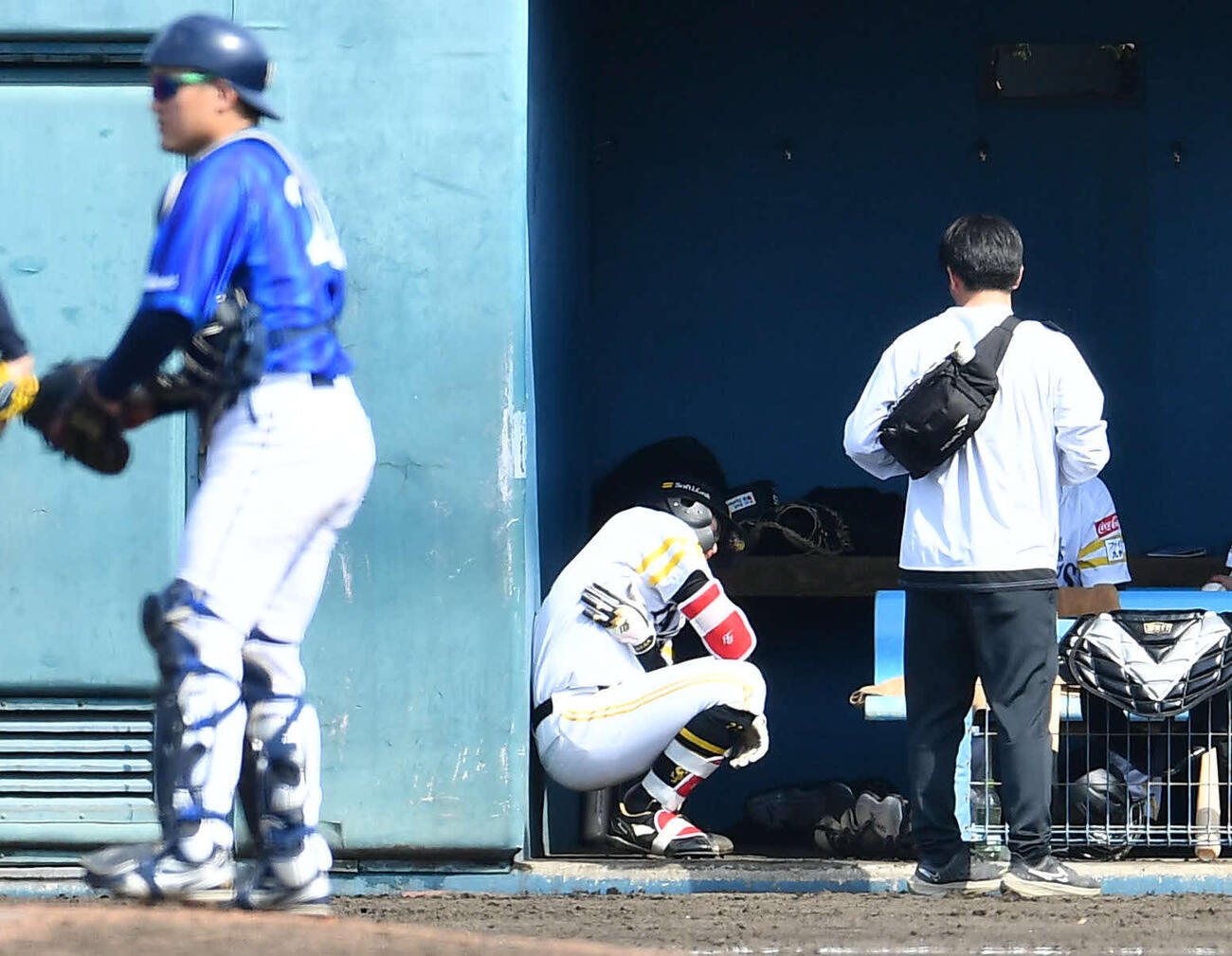 B組の練習試合で死球を受け、ベンチでうずくまるソフトバンク山本（撮影・岩下翔太）