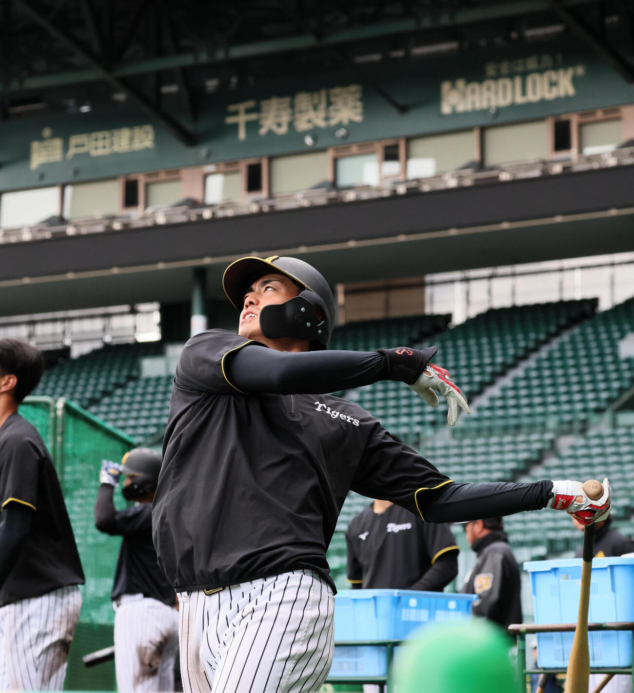 打撃練習時にノックを打つ阪神谷端（撮影・加藤哉）