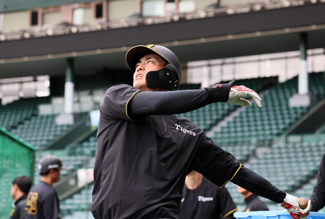 打撃練習時にノックを打つ阪神谷端（撮影・加藤哉）