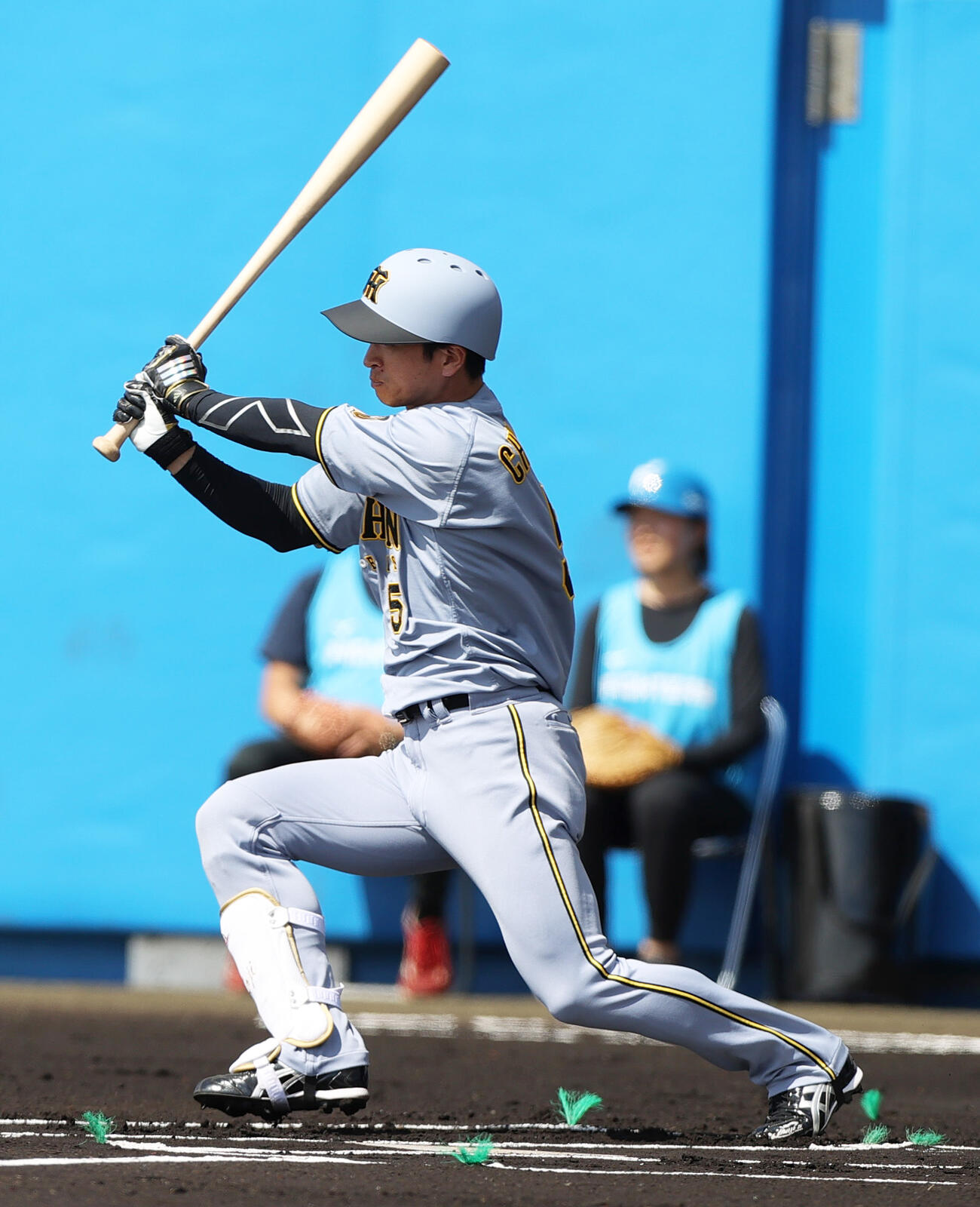 阪神近本光司（2026年2月撮影）