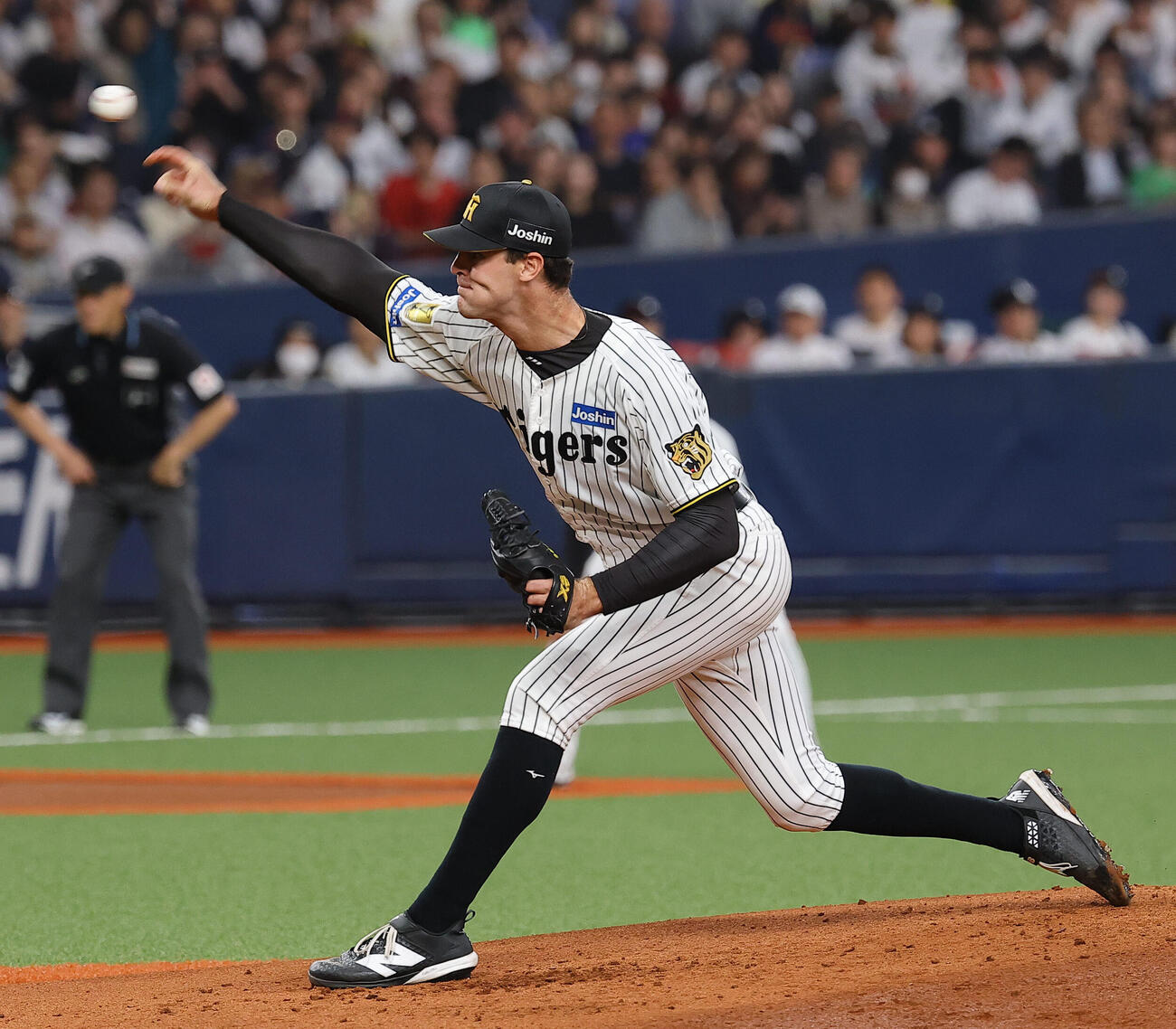 阪神対日本　阪神2番手のラグズデール（撮影・上田博志）