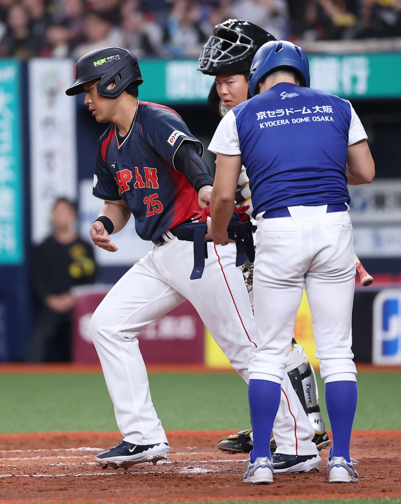 阪神対日本　7回表日本無死、四球を選ぶ岡本（撮影・河田真司）
