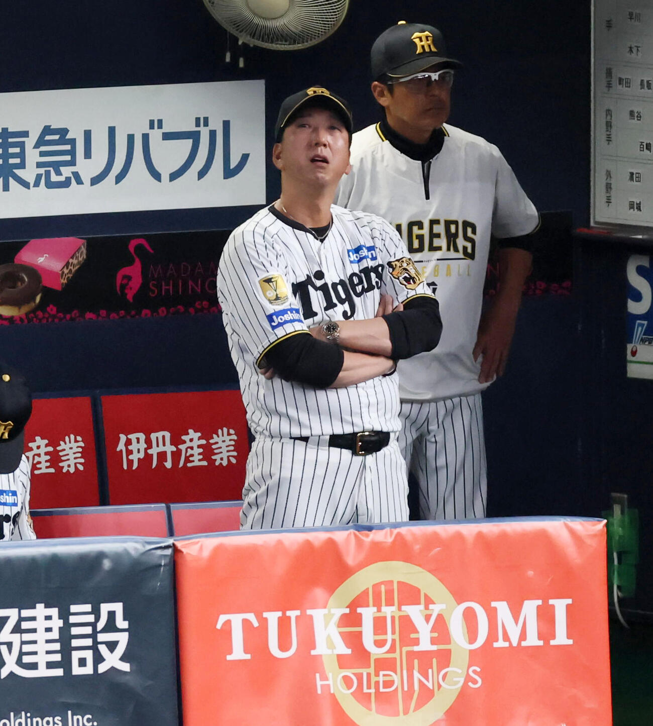 阪神対日本　4回裏、ベンチから戦況を伺う阪神藤川監督（撮影・加藤哉）