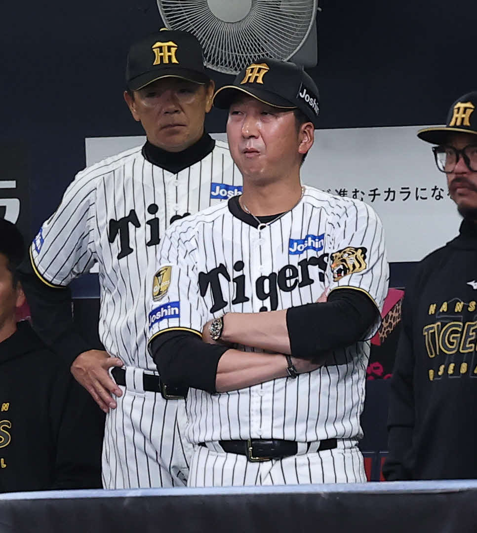阪神対日本　6回裏、戦況を見守る藤川監督（撮影・河田真司）