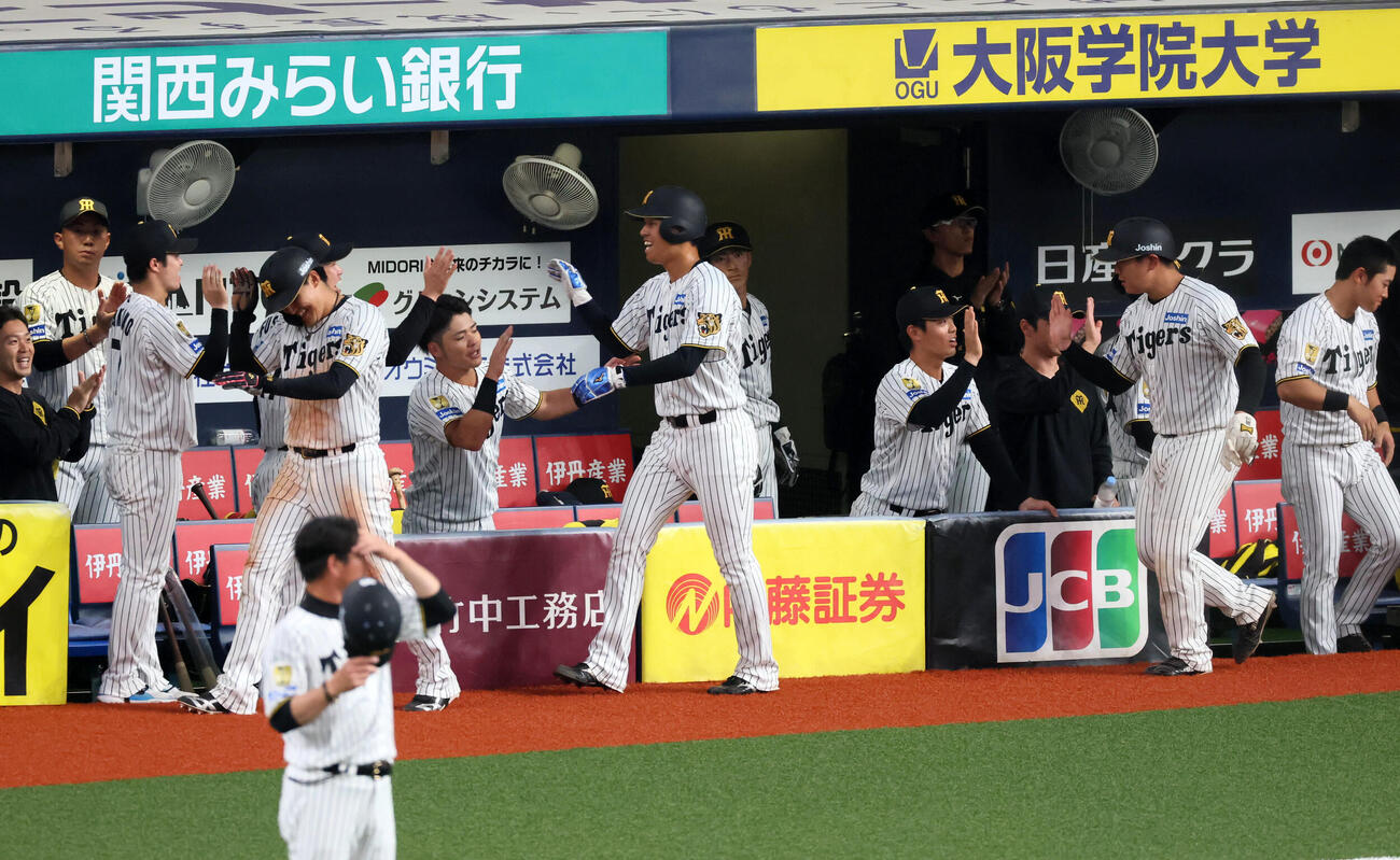 阪神対日本　8回裏阪神2死満塁、小幡の右越え適時3点二塁打で生還しベンチのナインとタッチする左から元山、岡城、嶋村（撮影・加藤哉）