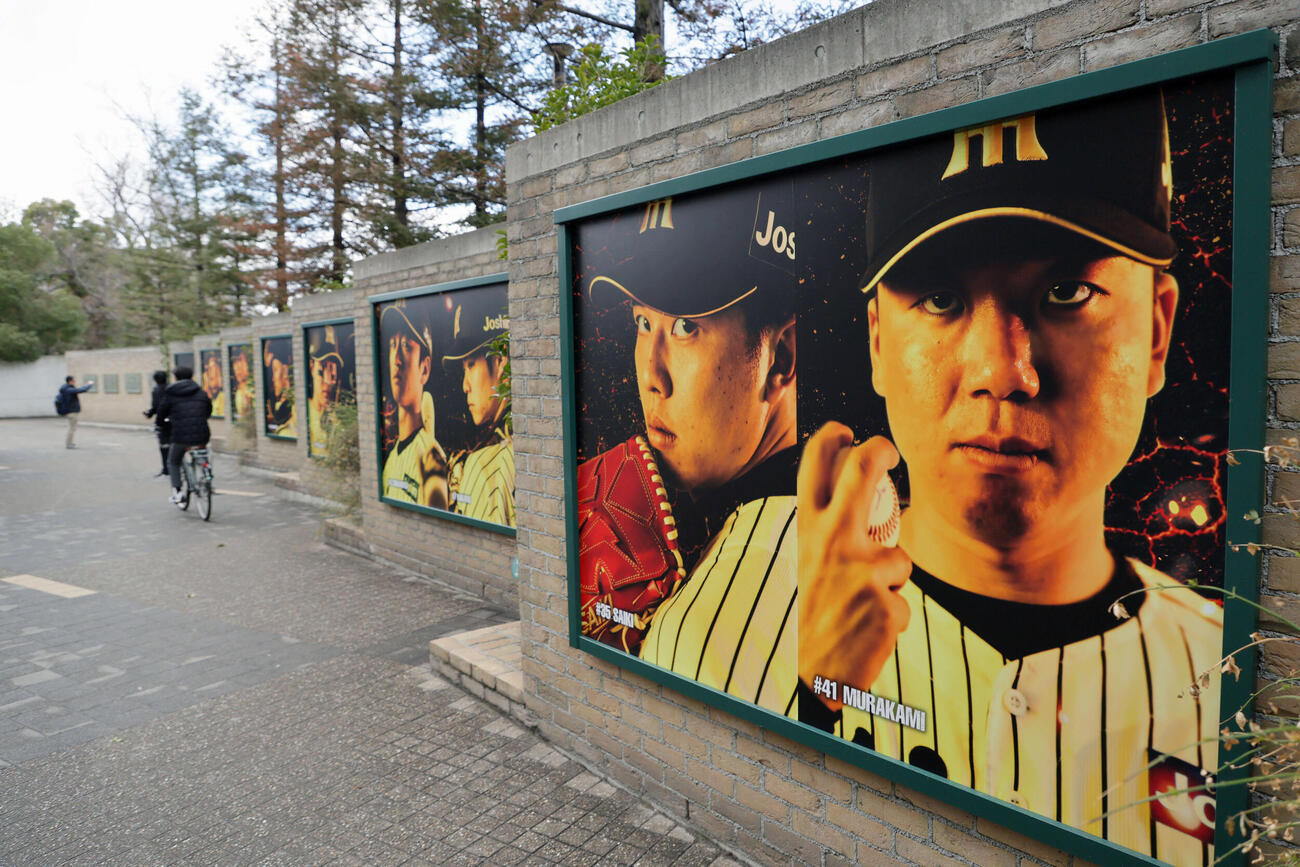 甲子園球場外周に掲示された阪神村上（右）と才木らのポスター（撮影・宮崎幸一）