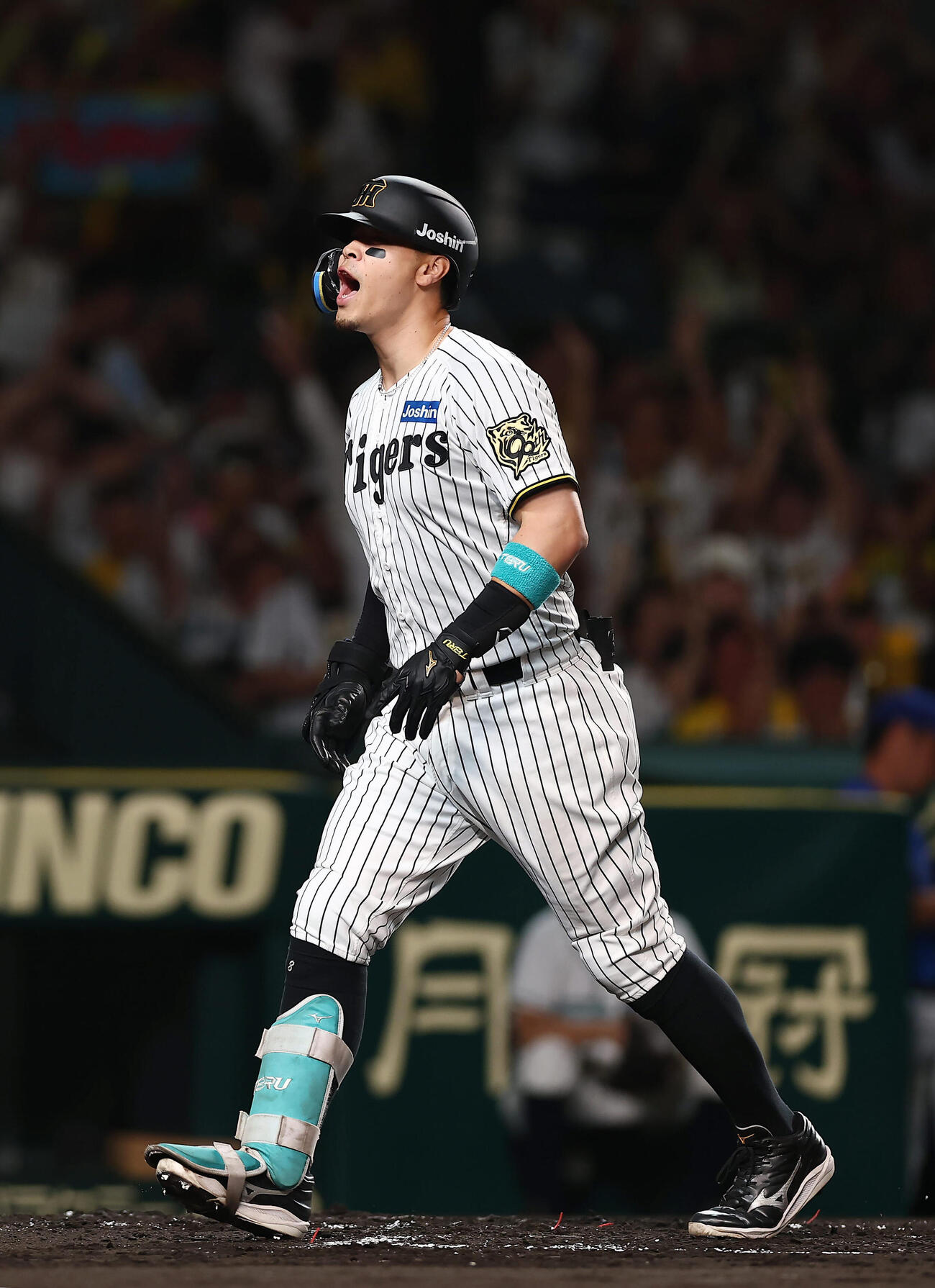 本塁打を放ち、声を上げて生還する佐藤輝明（2025年10月撮影）