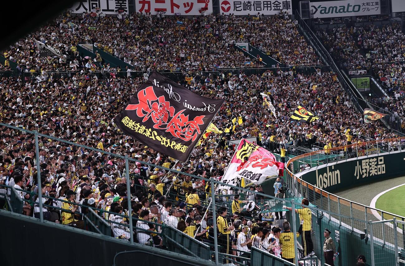 ライトスタンドで応援する阪神ファン（2025年5月撮影）