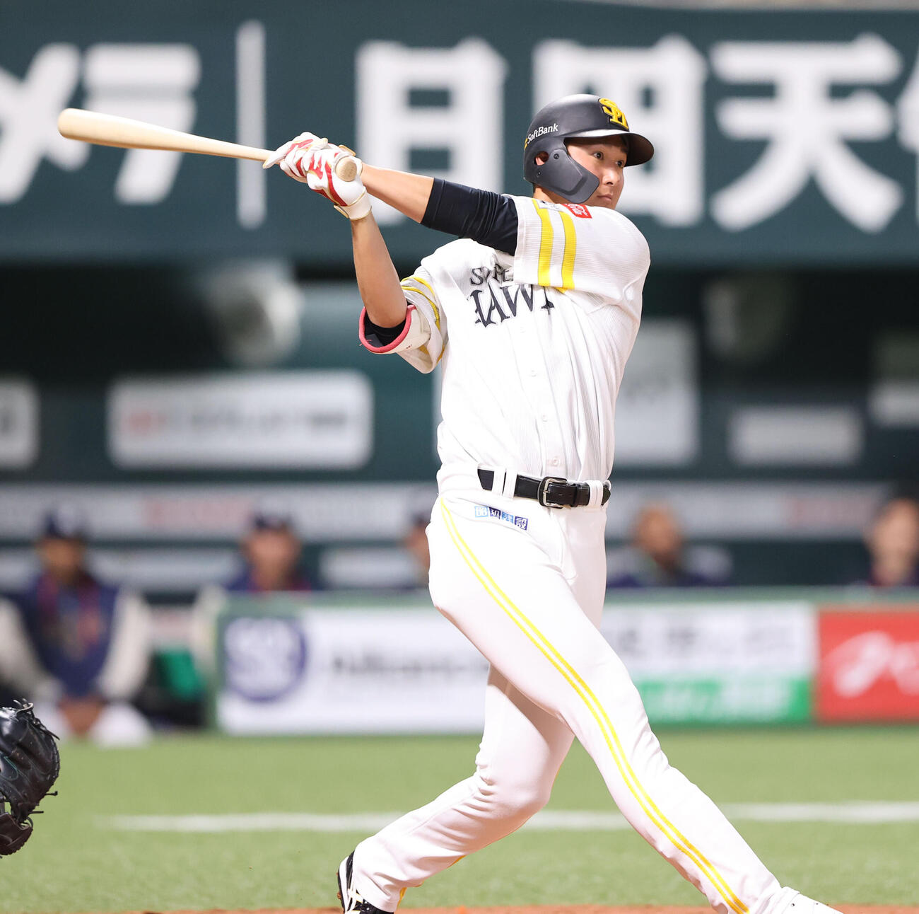 ソフトバンク対ヤクルト　2回裏ソフトバンク1死、秋広は右越えに先制本塁打を放つ（撮影・梅根麻紀）
