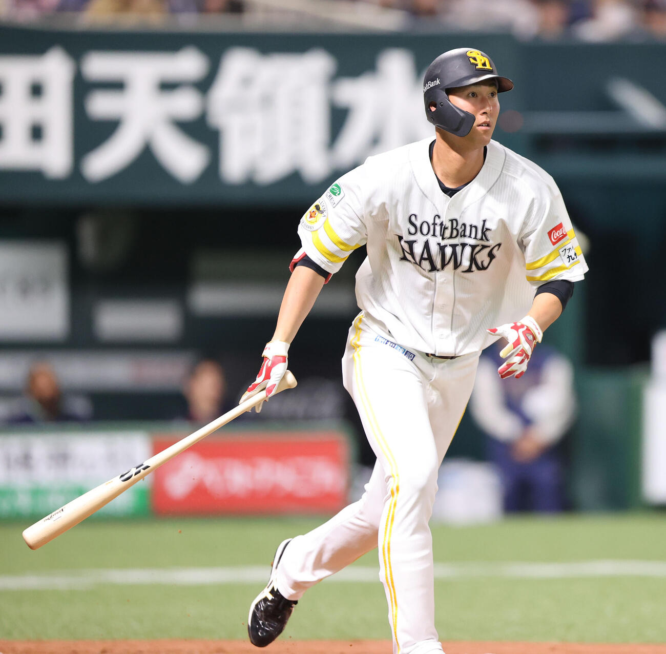 ソフトバンク対ヤクルト　2回裏ソフトバンク1死、秋広は右越えに先制本塁打を放つ（撮影・梅根麻紀）