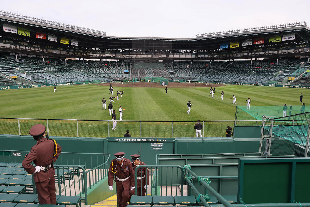 阪神対ソフトバンク　甲子園球場で練習をする阪神ナイン（撮影・上田博志）
