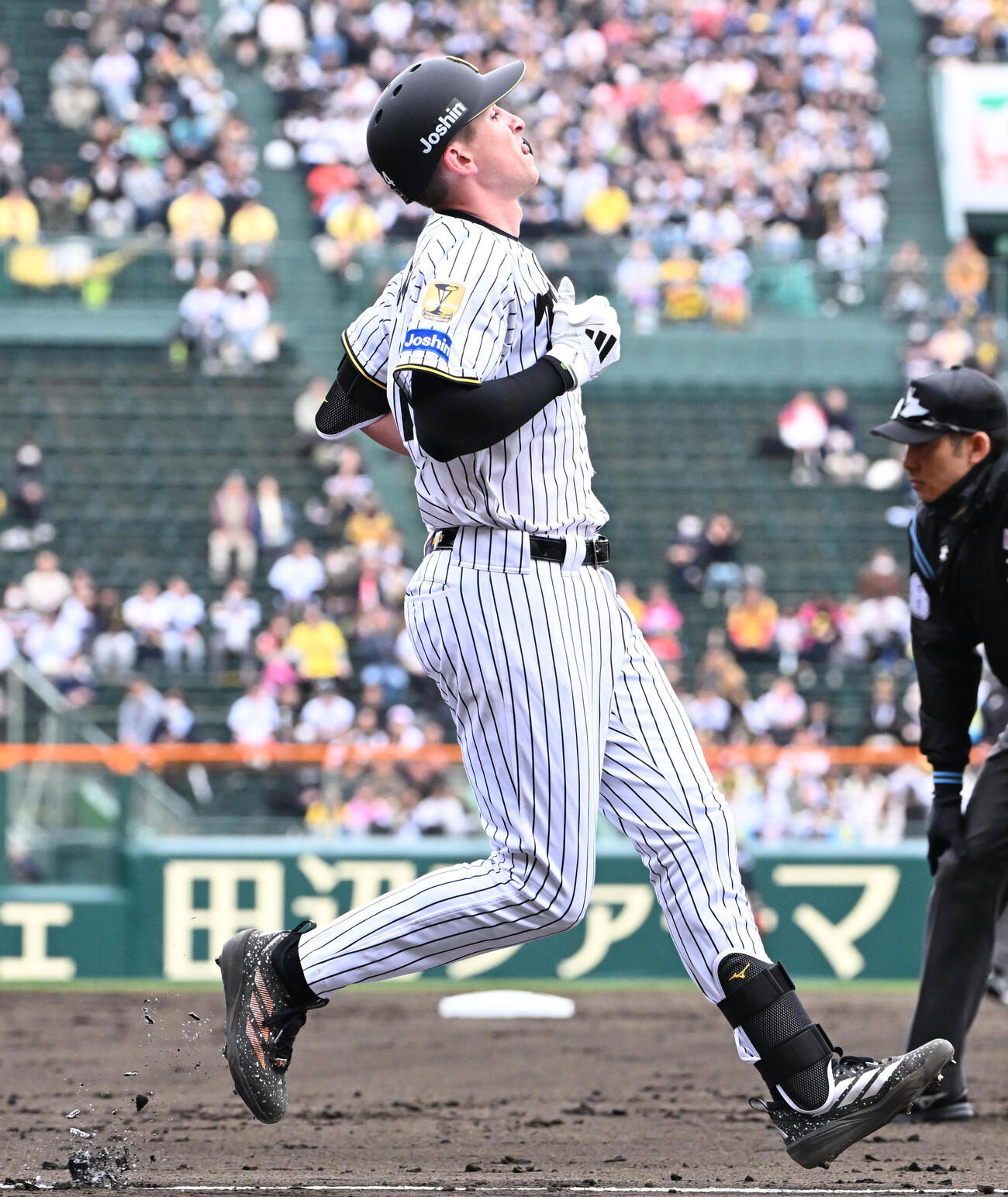 阪神対ソフトバンク　2回裏阪神1死　阪神ディベイニーは二ゴロに倒れる（撮影・石井愛子）
