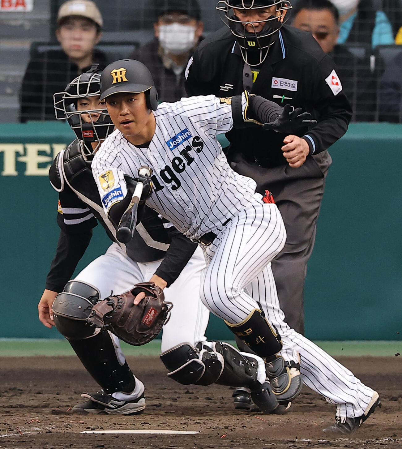 阪神対ソフトバンク　7回裏阪神1死一、二塁、中川は中前適時打を放つ（撮影・上田博志）