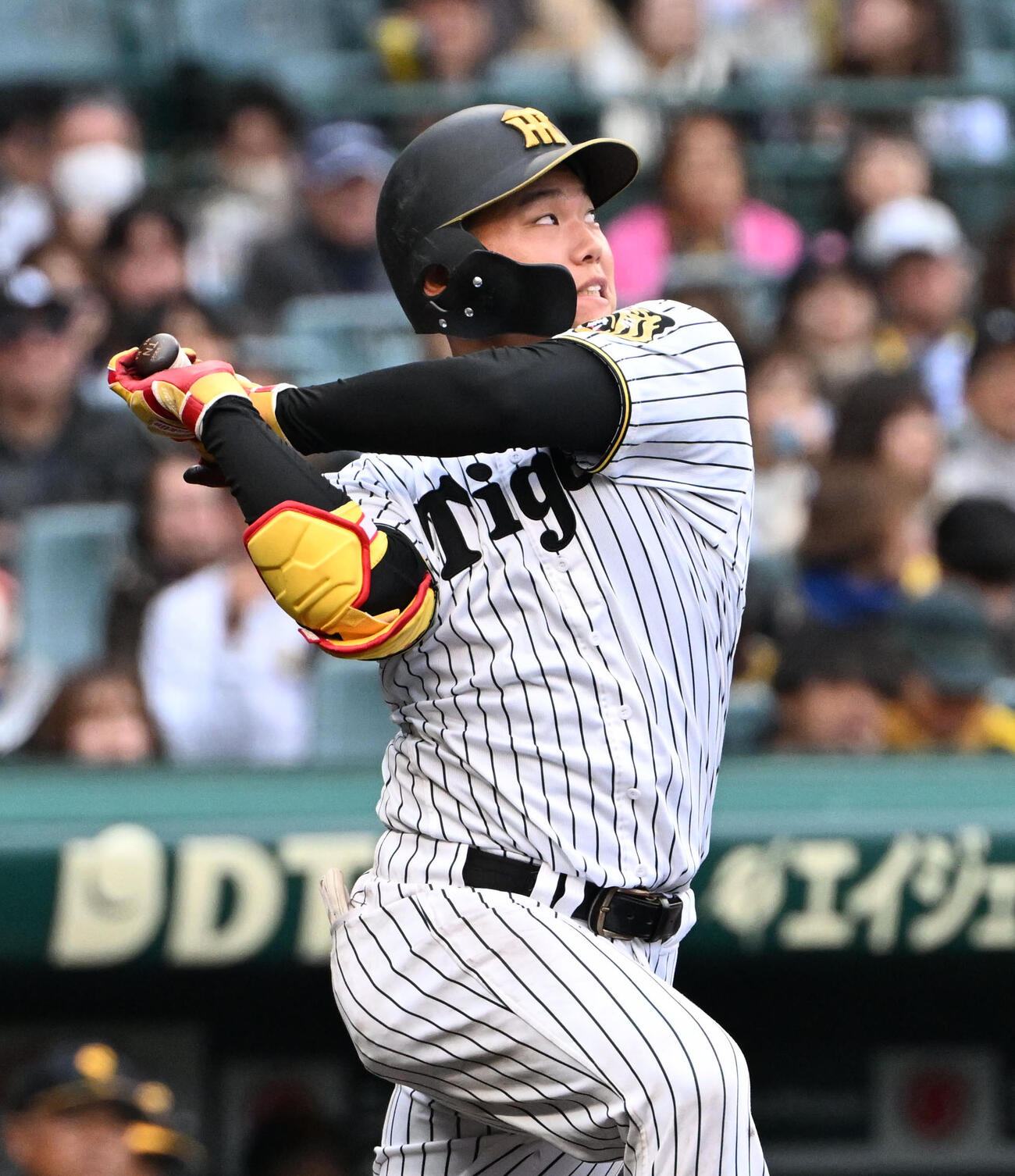 阪神対ソフトバンク　5回裏阪神1死一塁　嶋村は左安打を放つ（撮影・石井愛子）