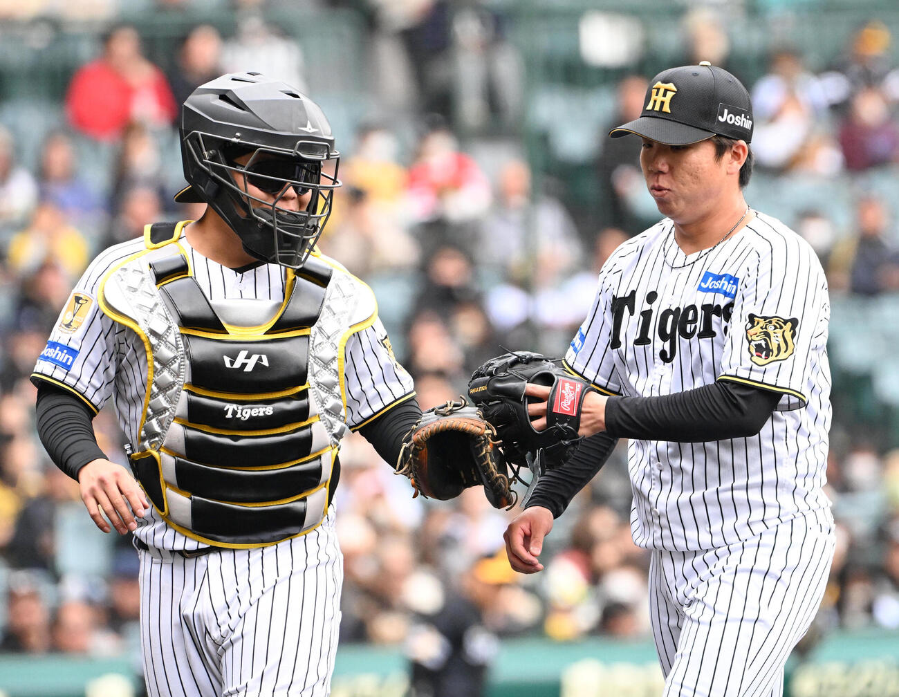 阪神対ソフトバンク　2回表を投げ終わり阪神嶋村（左）グラブを合わせベンチに引き揚げる阪神村上（撮影・石井愛子）