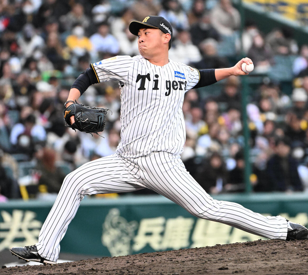 阪神対ソフトバンク　阪神6番手の桐敷（撮影・石井愛子）