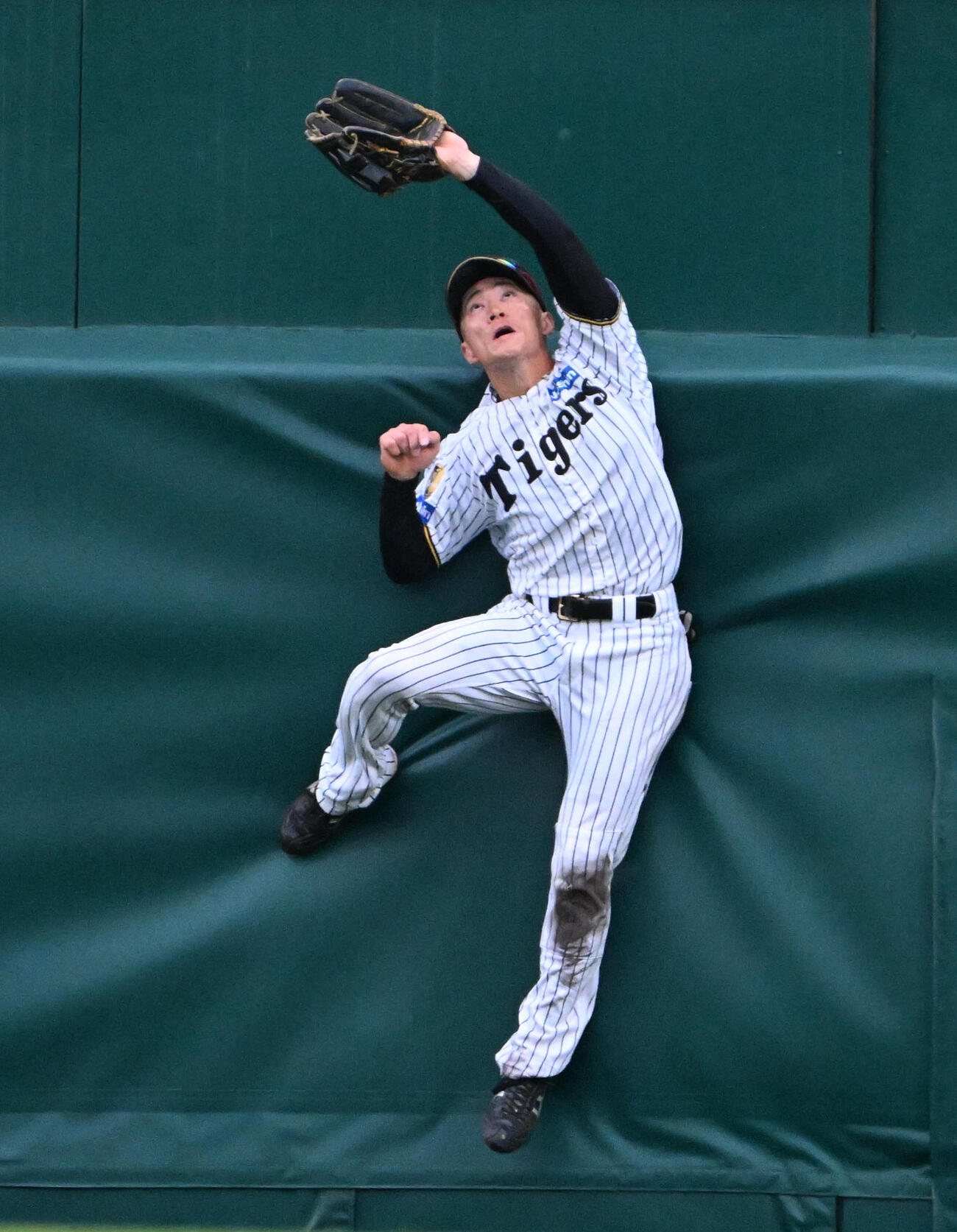 阪神対ソフトバンク　阪神7番手の木下里都9回裏ソフトバンク2死　広瀬隆の中飛を好捕する阪神福島（撮影・石井愛子）