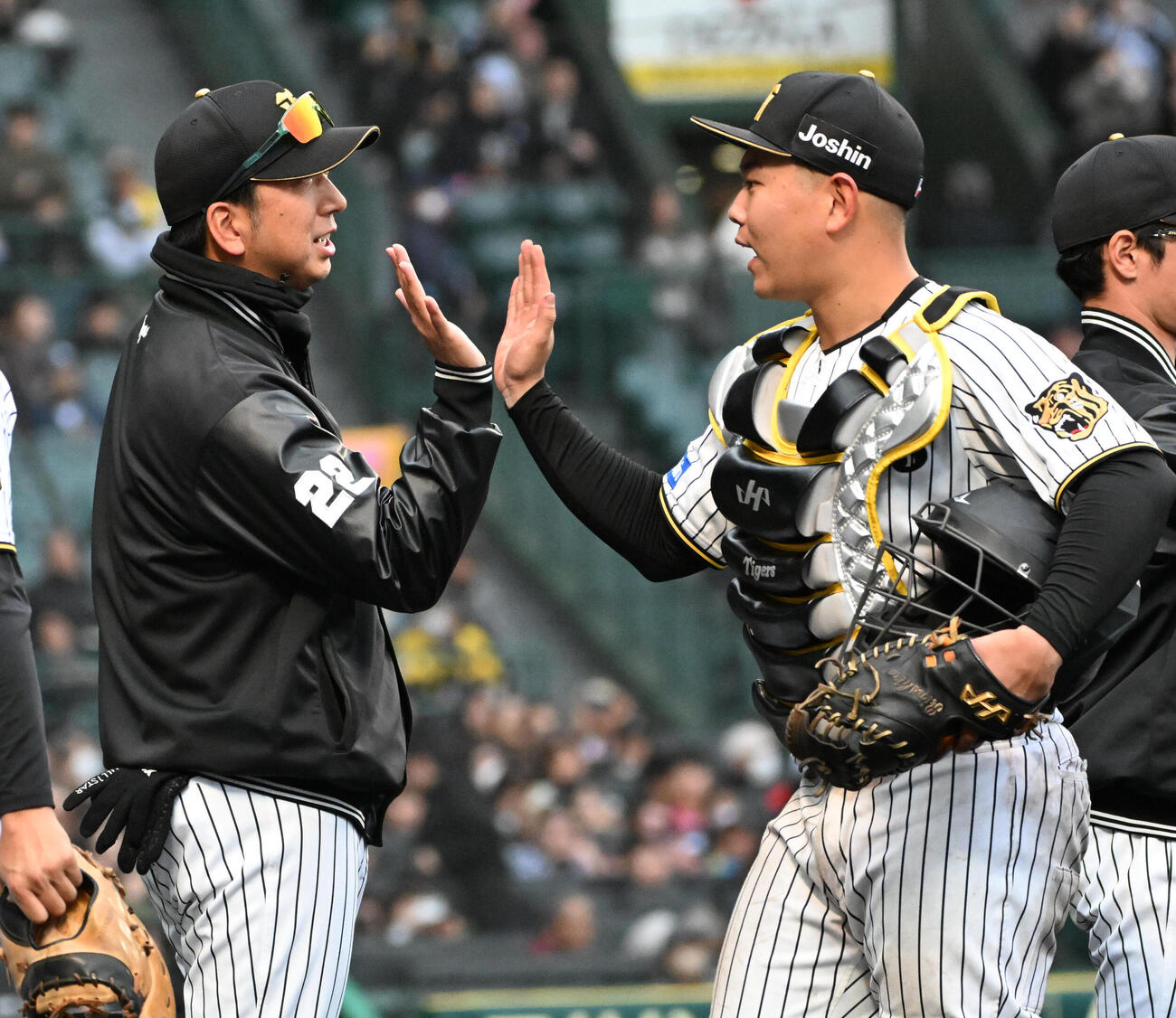 阪神対ソフトバンク　ソフトバンクに勝利し阪神嶋村（右）とハイタッチをする阪神藤川監督（撮影・石井愛子）