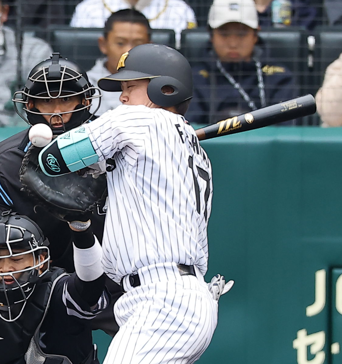 阪神対ソフトバンク　2回裏阪神1死一塁、伏見は死球を受ける（撮影・上田博志）
