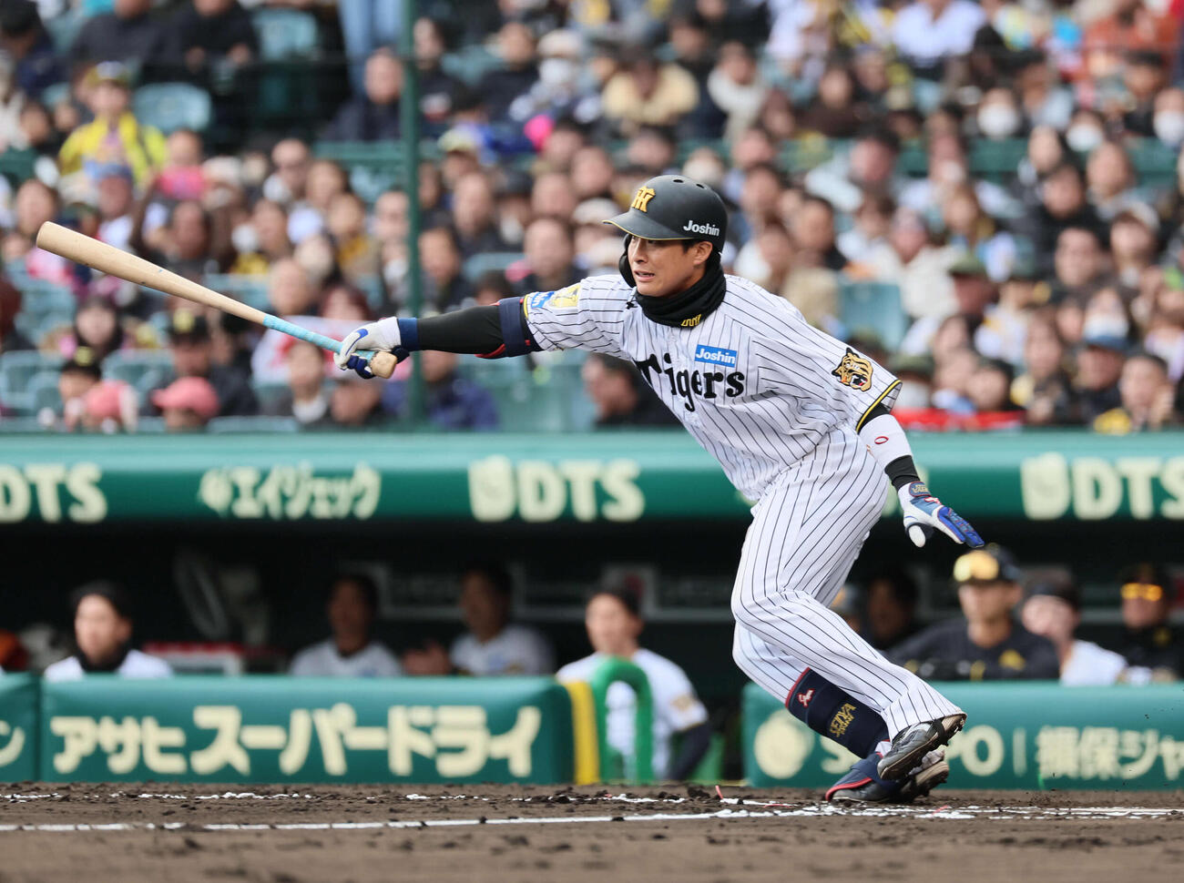 阪神対ソフトバンク　6回裏阪神1死一塁、木浪は左打を放ち3安打とする（撮影・宮崎幸一）