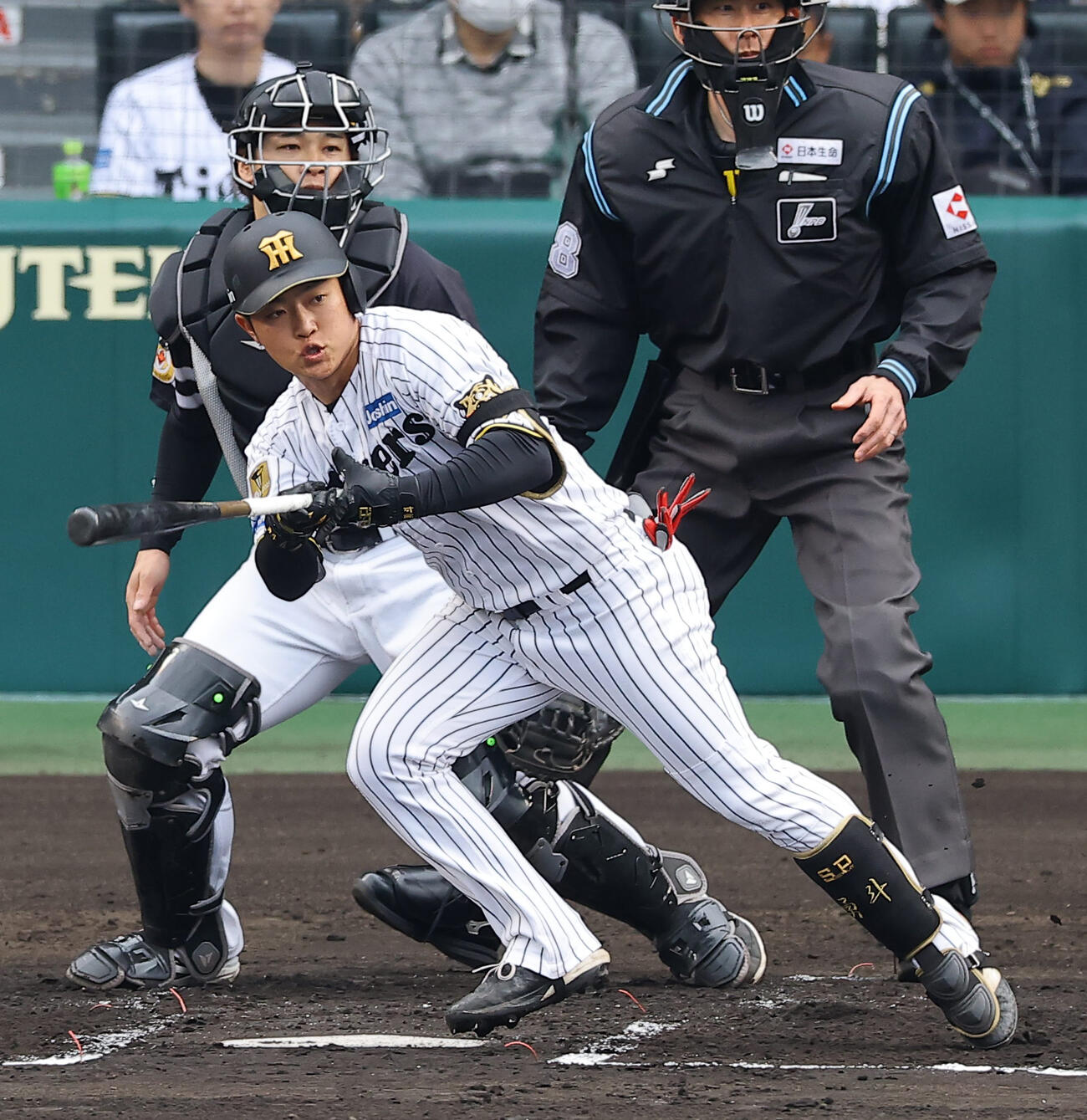 阪神対ソフトバンク　1回裏阪神1死二塁、中川は先制適時打を放つ（撮影・上田博志）