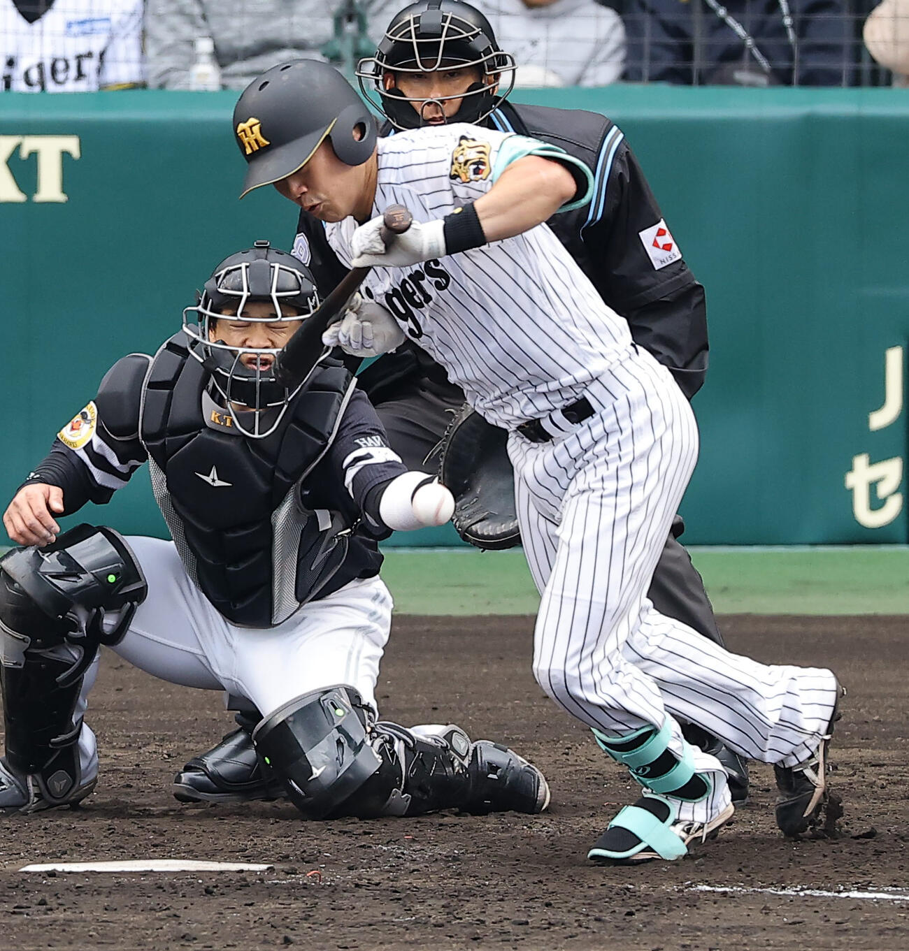 阪神対ソフトバンク　4回裏阪神1死一塁、死球を受ける伏見（撮影・上田博志）