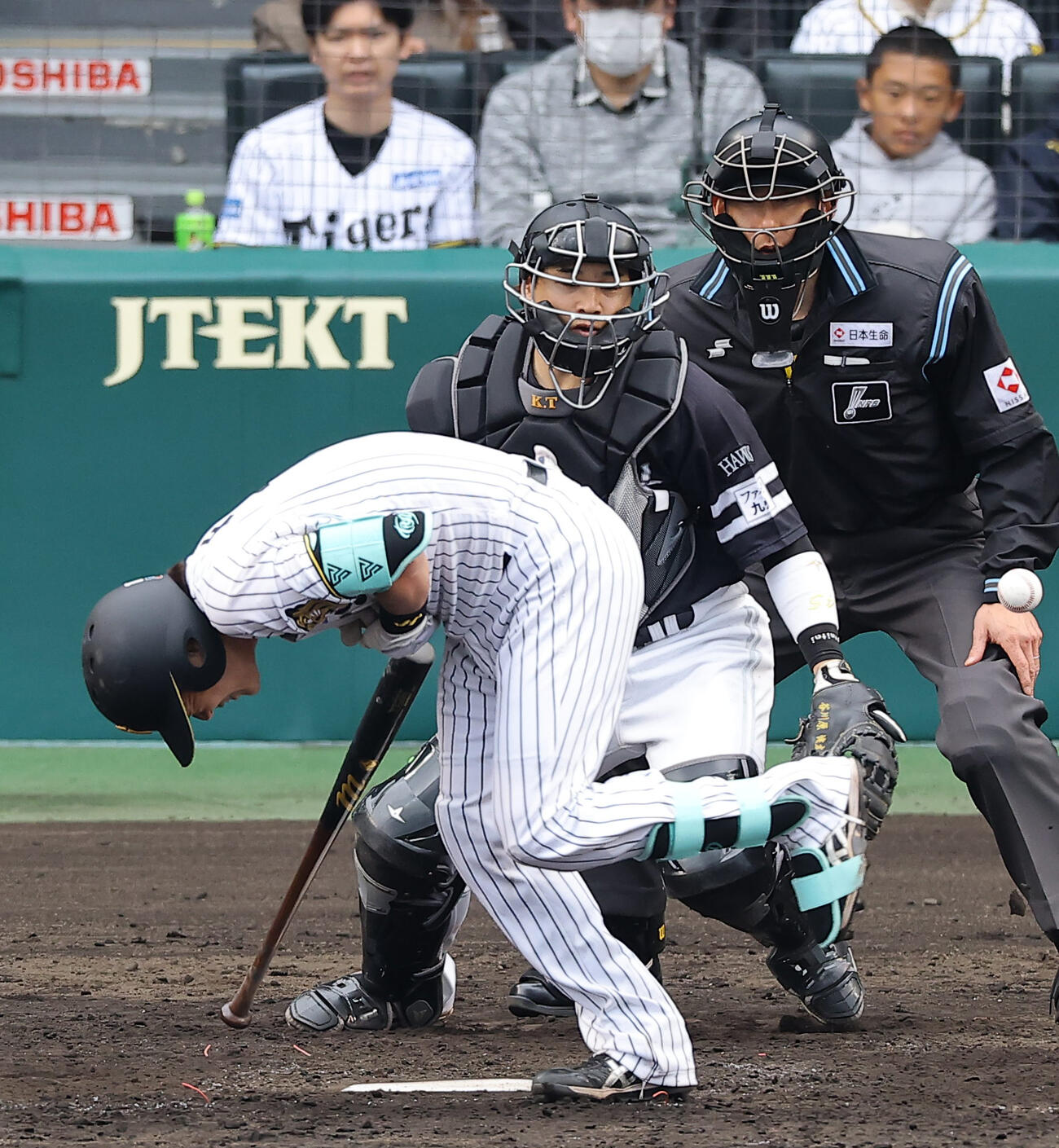 阪神対ソフトバンク　4回裏阪神1死一塁、死球を受ける伏見（撮影・上田博志）