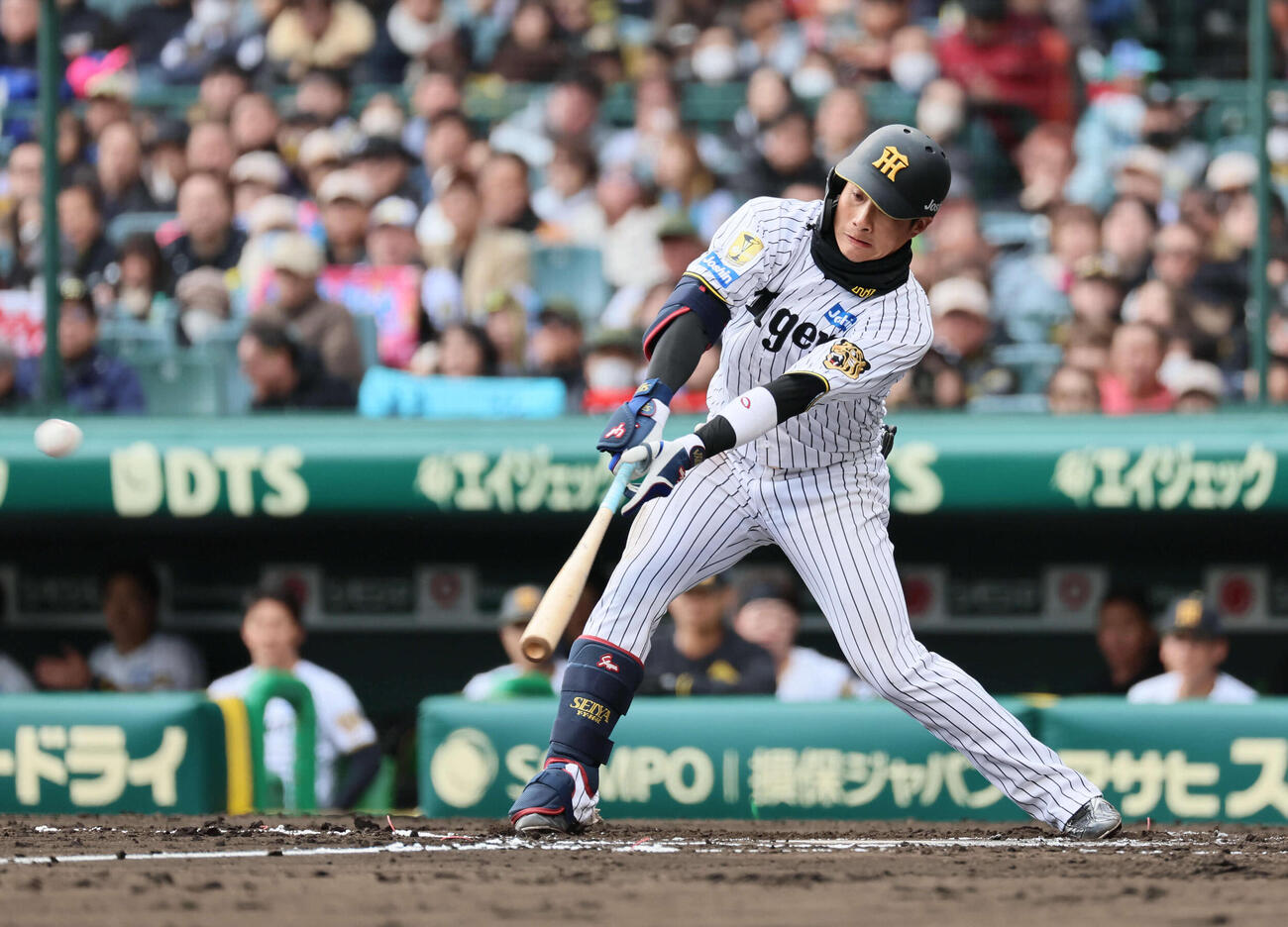 阪神対ソフトバンク　6回裏阪神1死一塁、木浪は左打を放ち3安打とする（撮影・宮崎幸一）