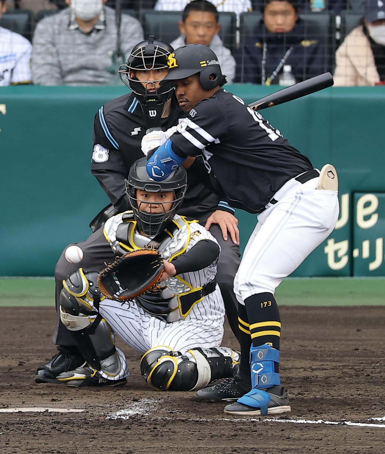 阪神対ソフトバンク　8回表ソフトバンク2死二塁、オスーナは見逃し三振に倒れる（撮影・上田博志）