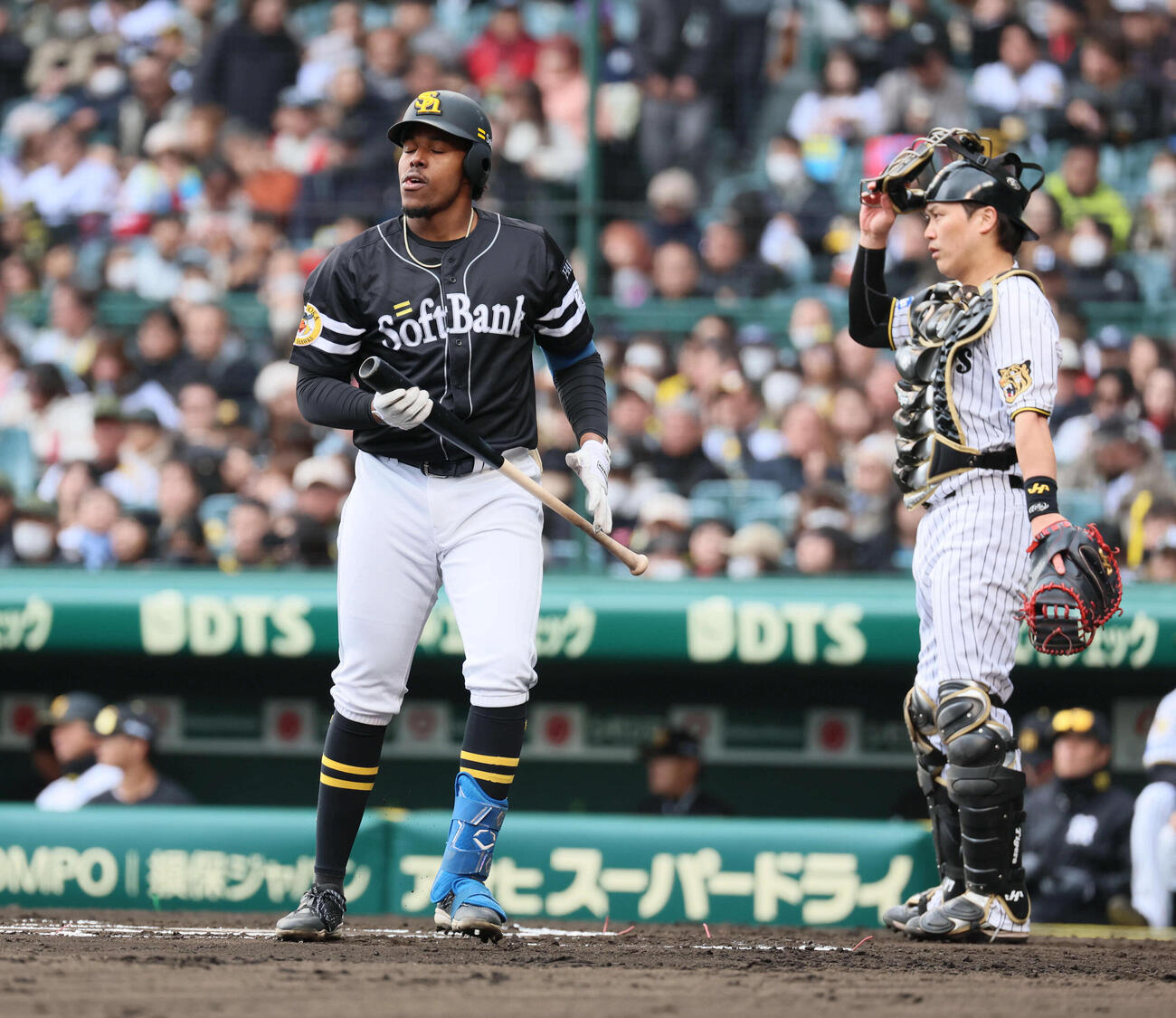 阪神対ソフトバンク　6回表ソフトバンク1死、代打出場したオスーナは空振り三振に倒れる（撮影・宮崎幸一）