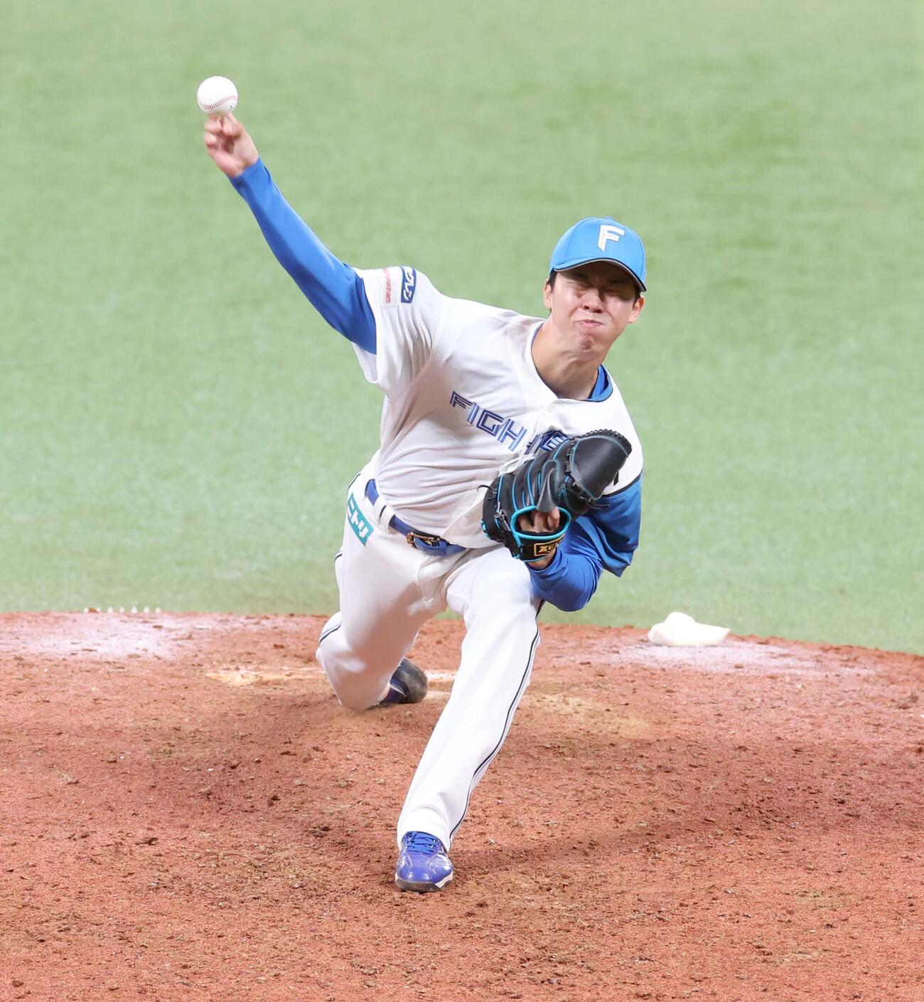 日本ハム対ロッテ　8回に登板し打者を3人で抑える大川（撮影・黒川智章）