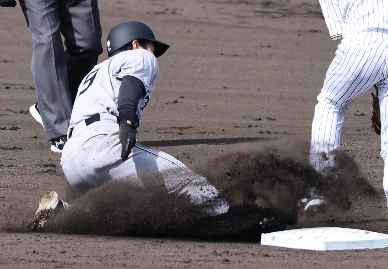 阪神対巨人　3回表巨人2死一塁、松本は二盗を決める（撮影・上田博志）