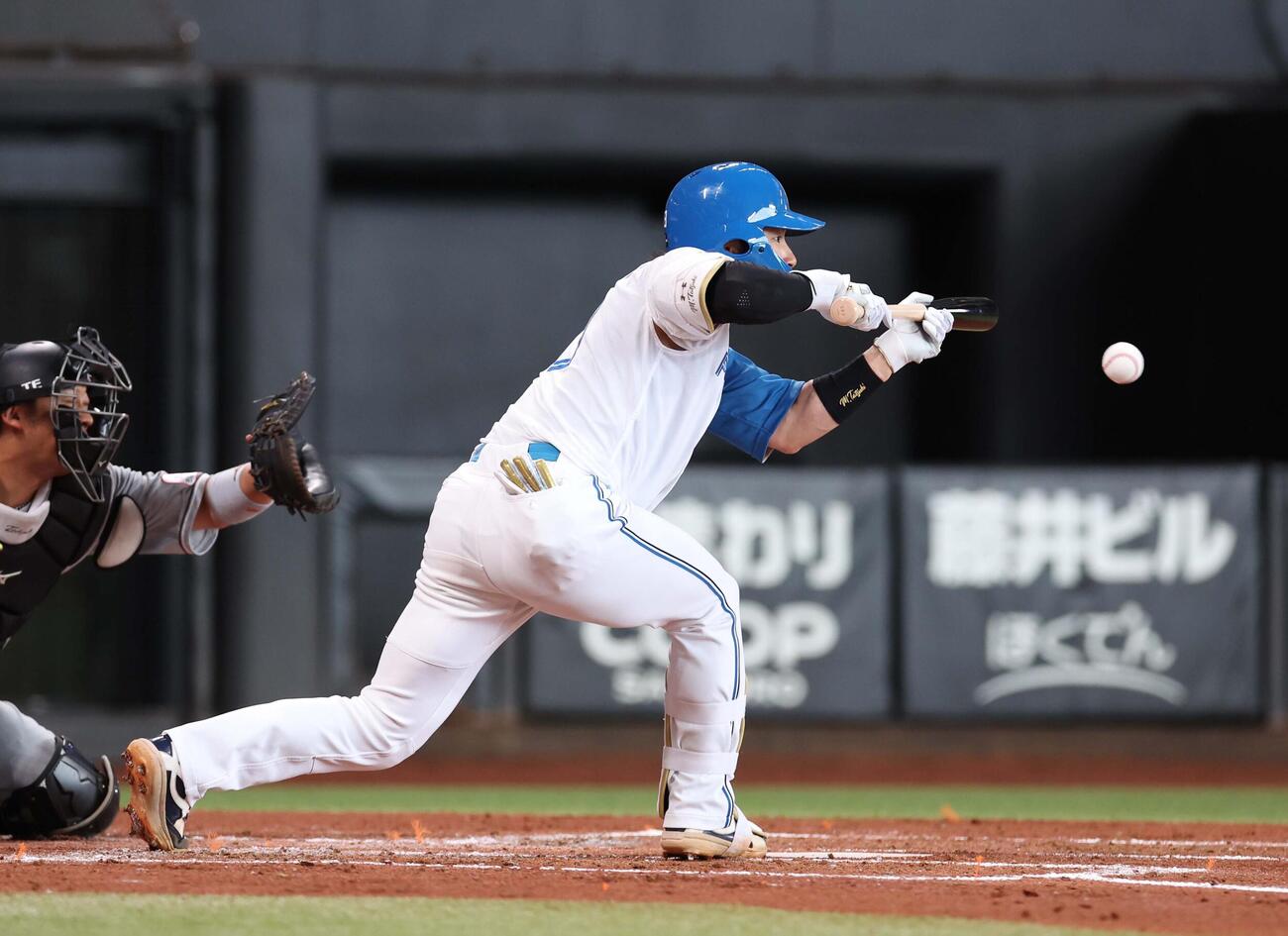 日本ハム対ロッテ　2回裏日本ハム無死一、三塁、スクイズを決める水野（撮影・黒川智章）