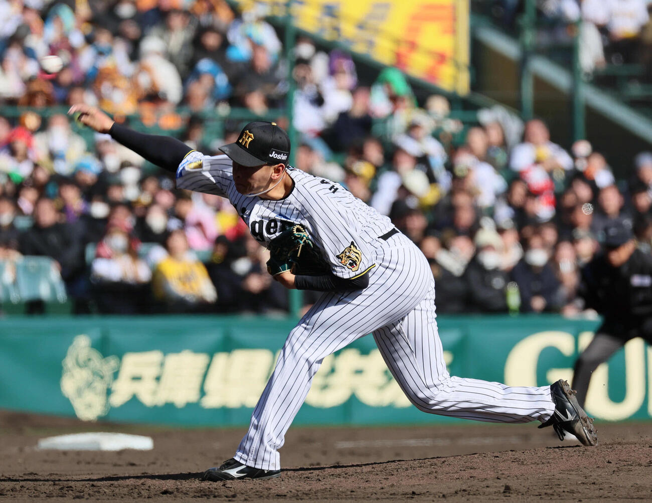 阪神対巨人　阪神3番手の早川（撮影・宮崎幸一）