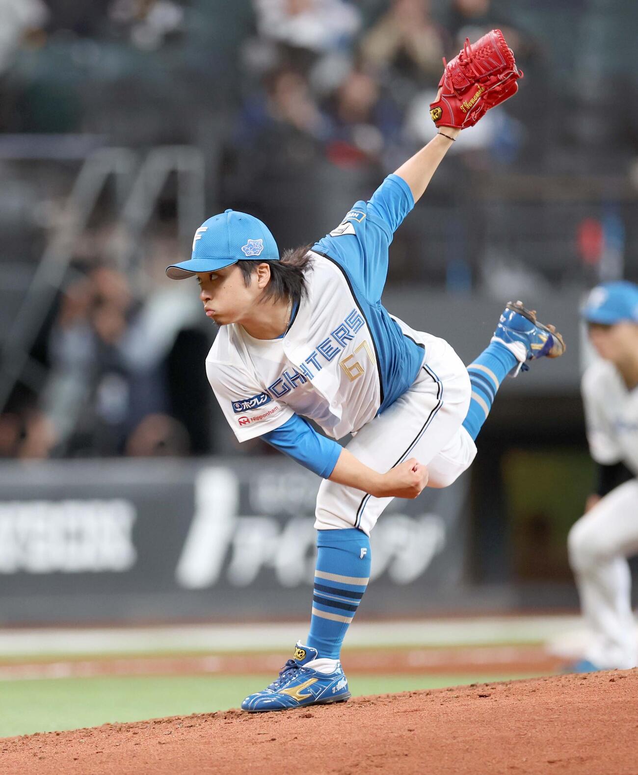 日本ハム対ロッテ　4回から登板の山本（撮影・黒川智章）